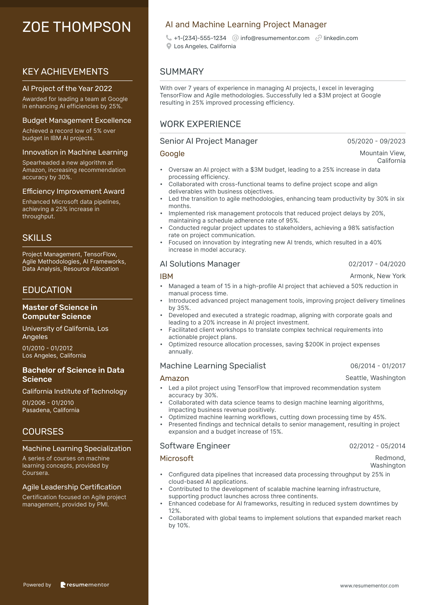 AI and Machine Learning Project Manager