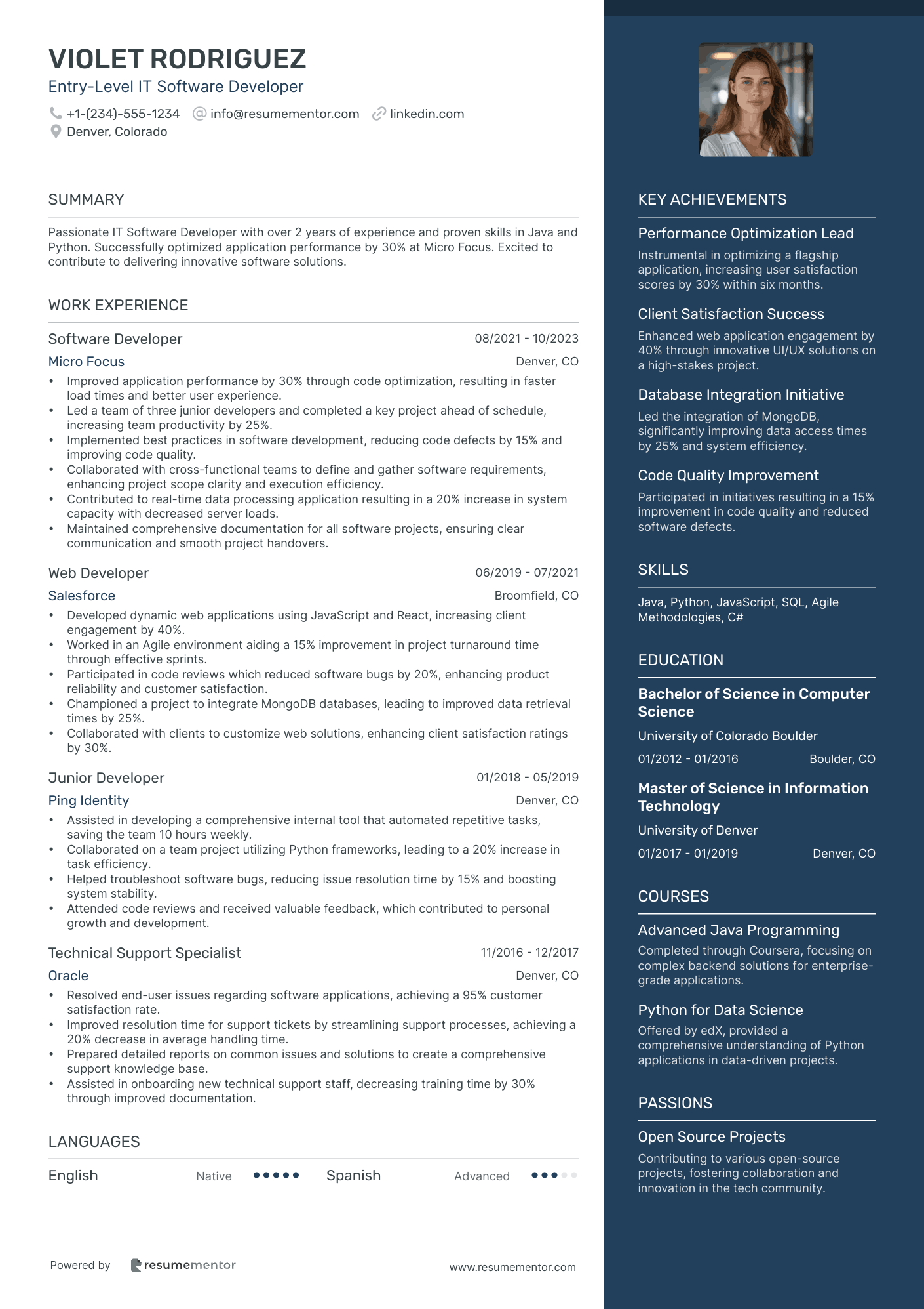 Entry Level IT Software Developer