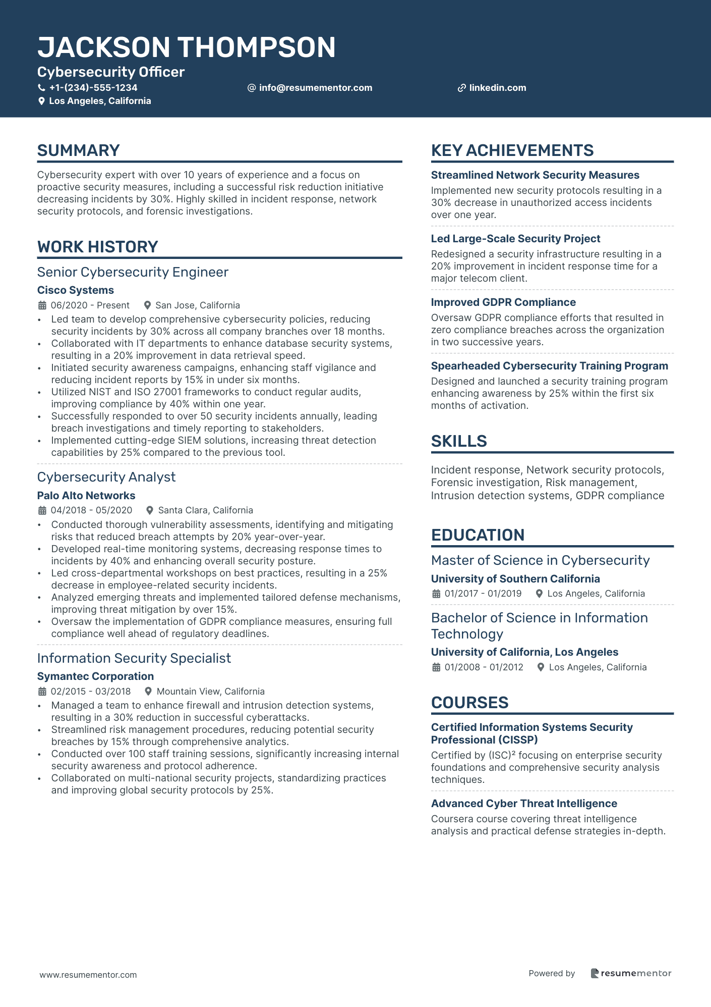 Cybersecurity Officer