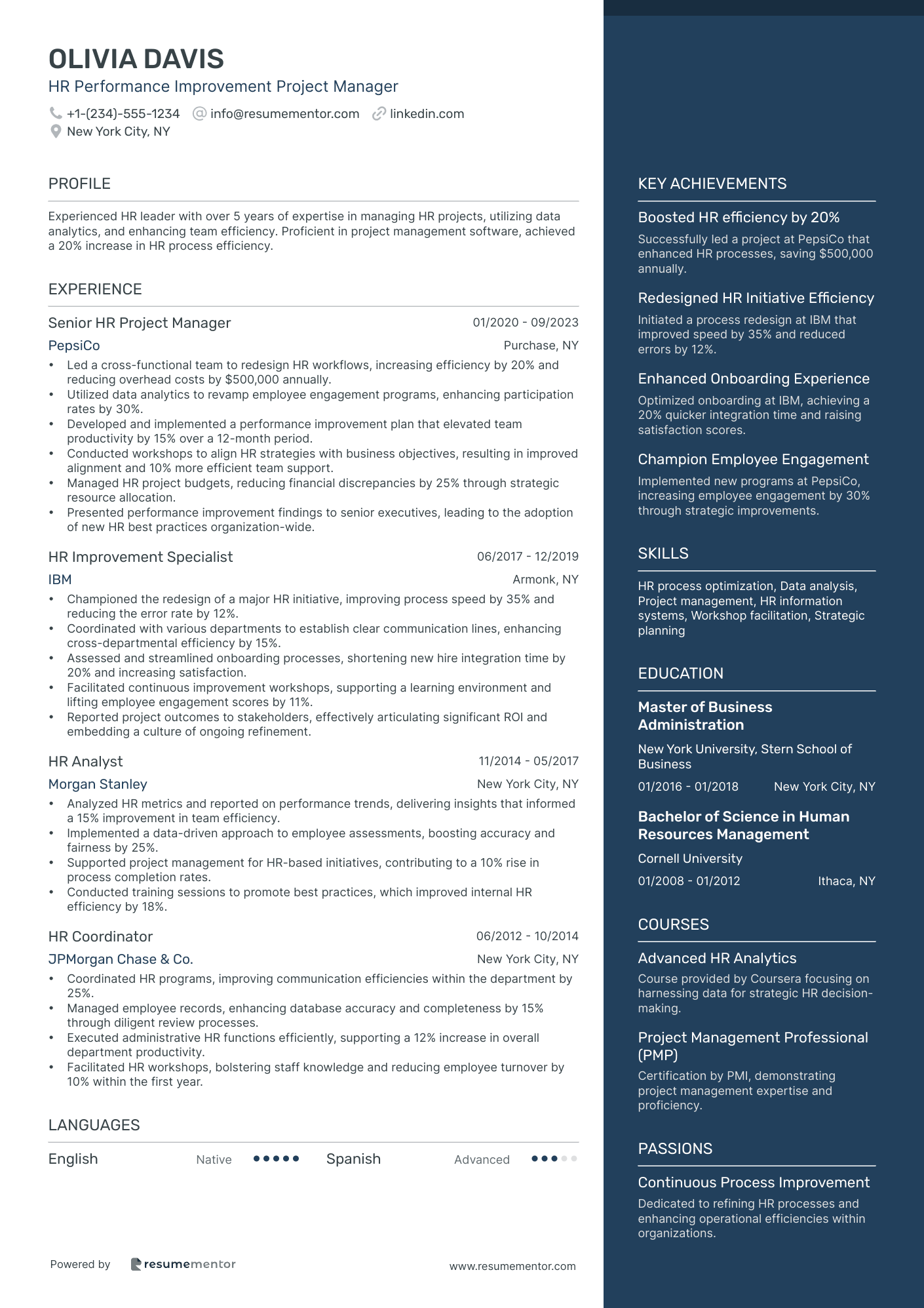 HR Performance Improvement Project Manager