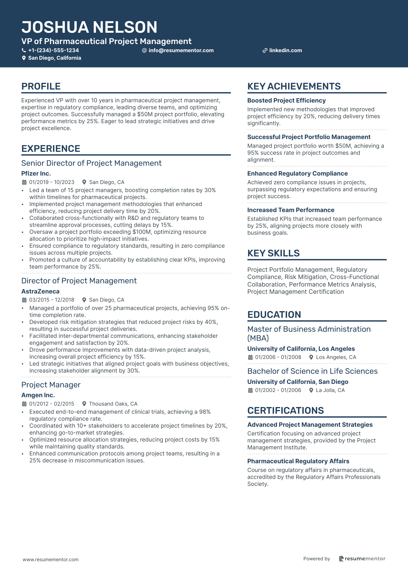 VP of Pharmaceutical Project Management