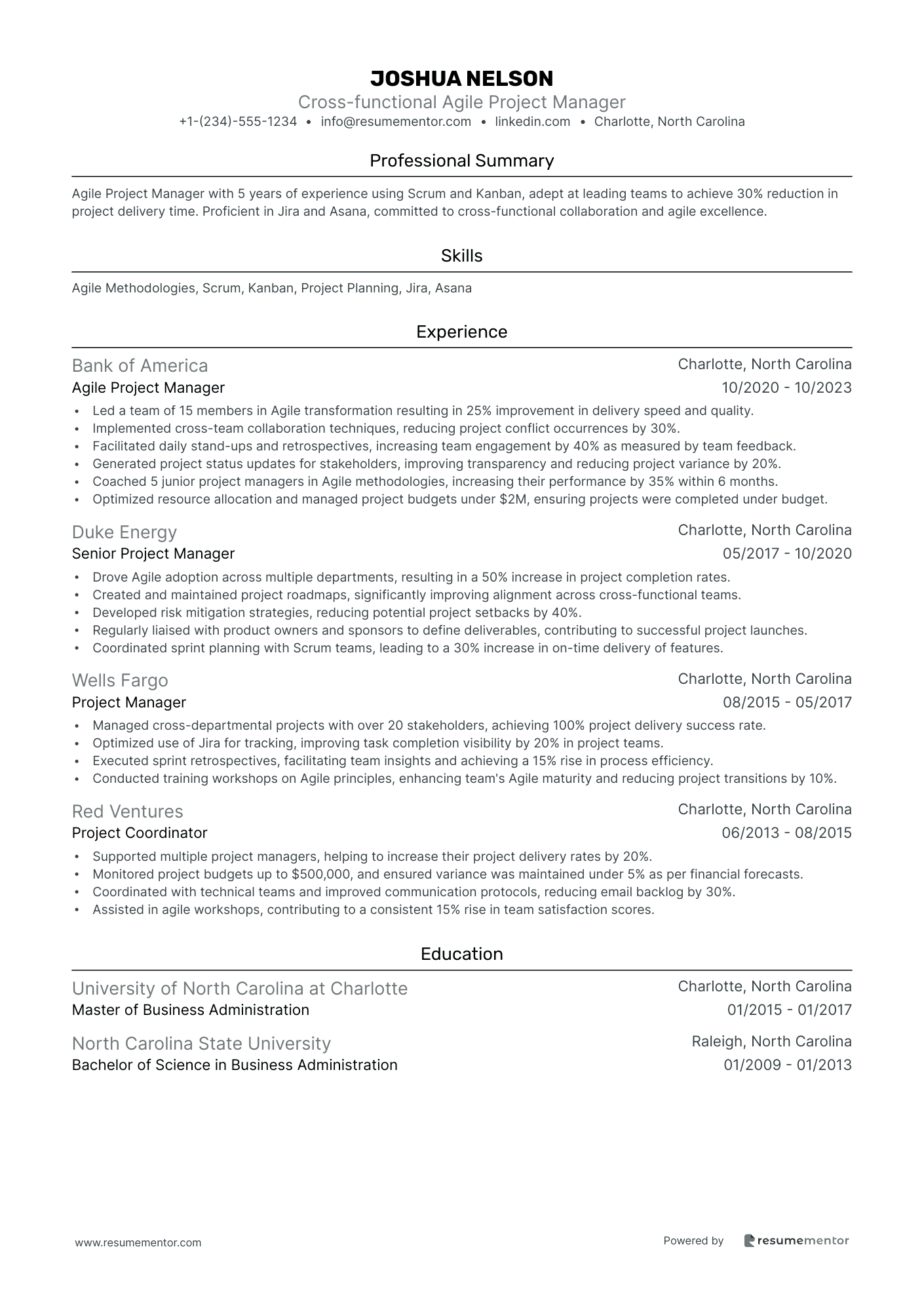 Cross functional Agile Project Manager