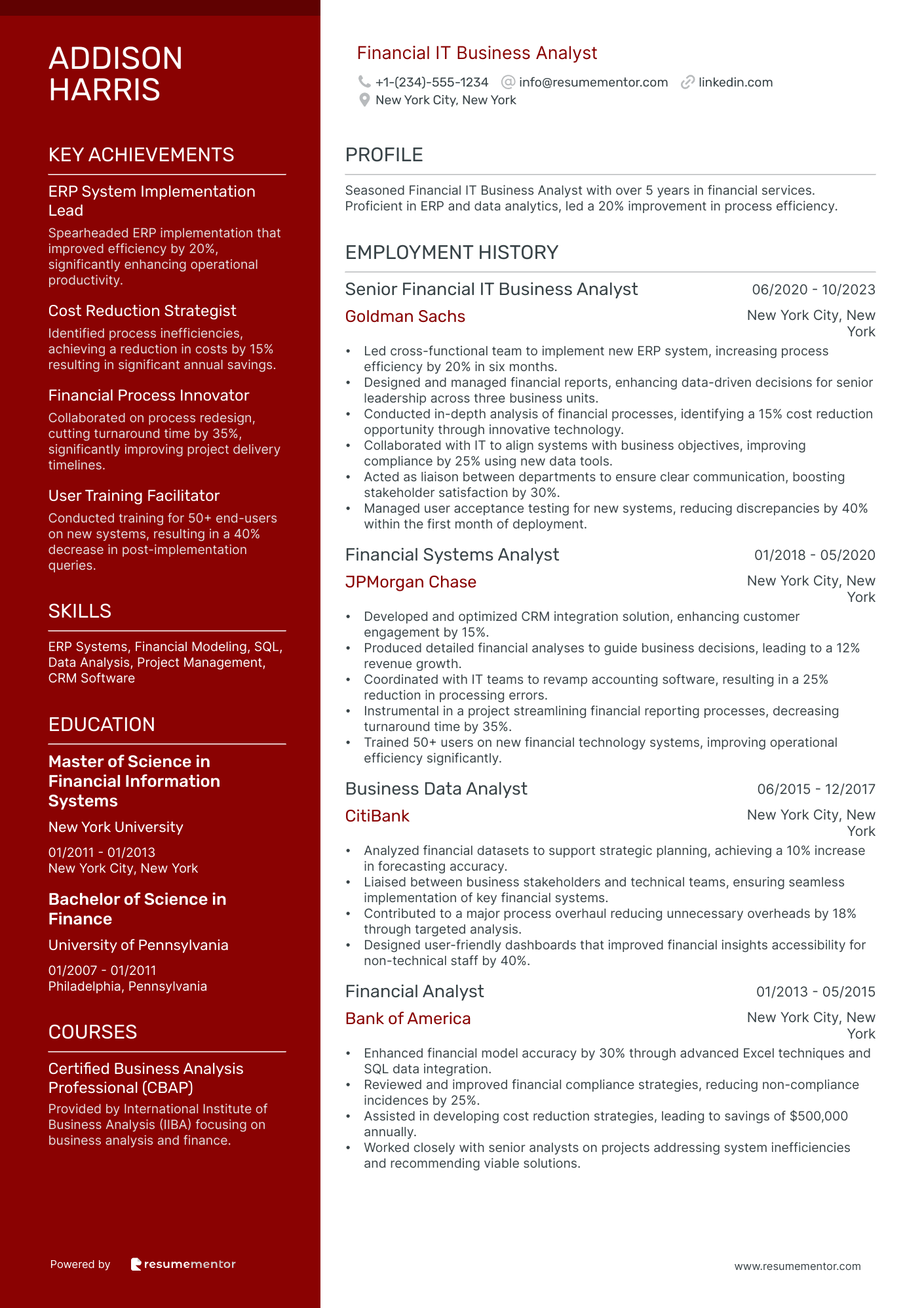 Financial IT Business Analyst
