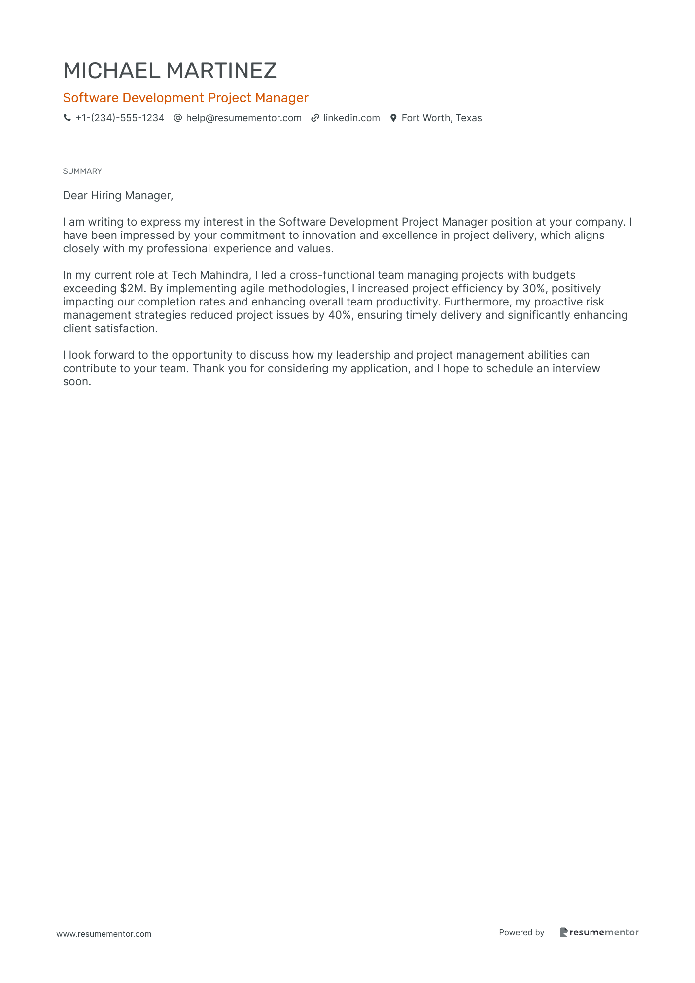 Software Development Project Manager