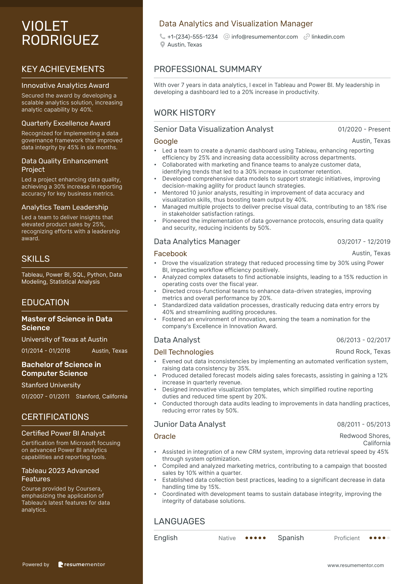 Data Analytics and Visualization Manager