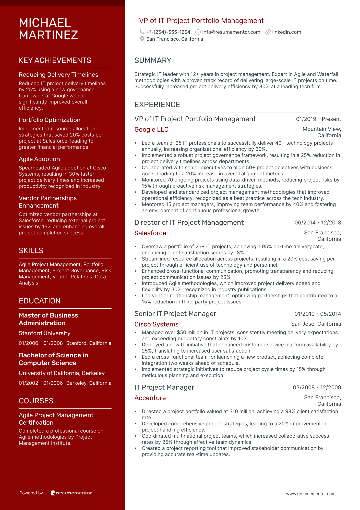 VP of IT Project Portfolio Management