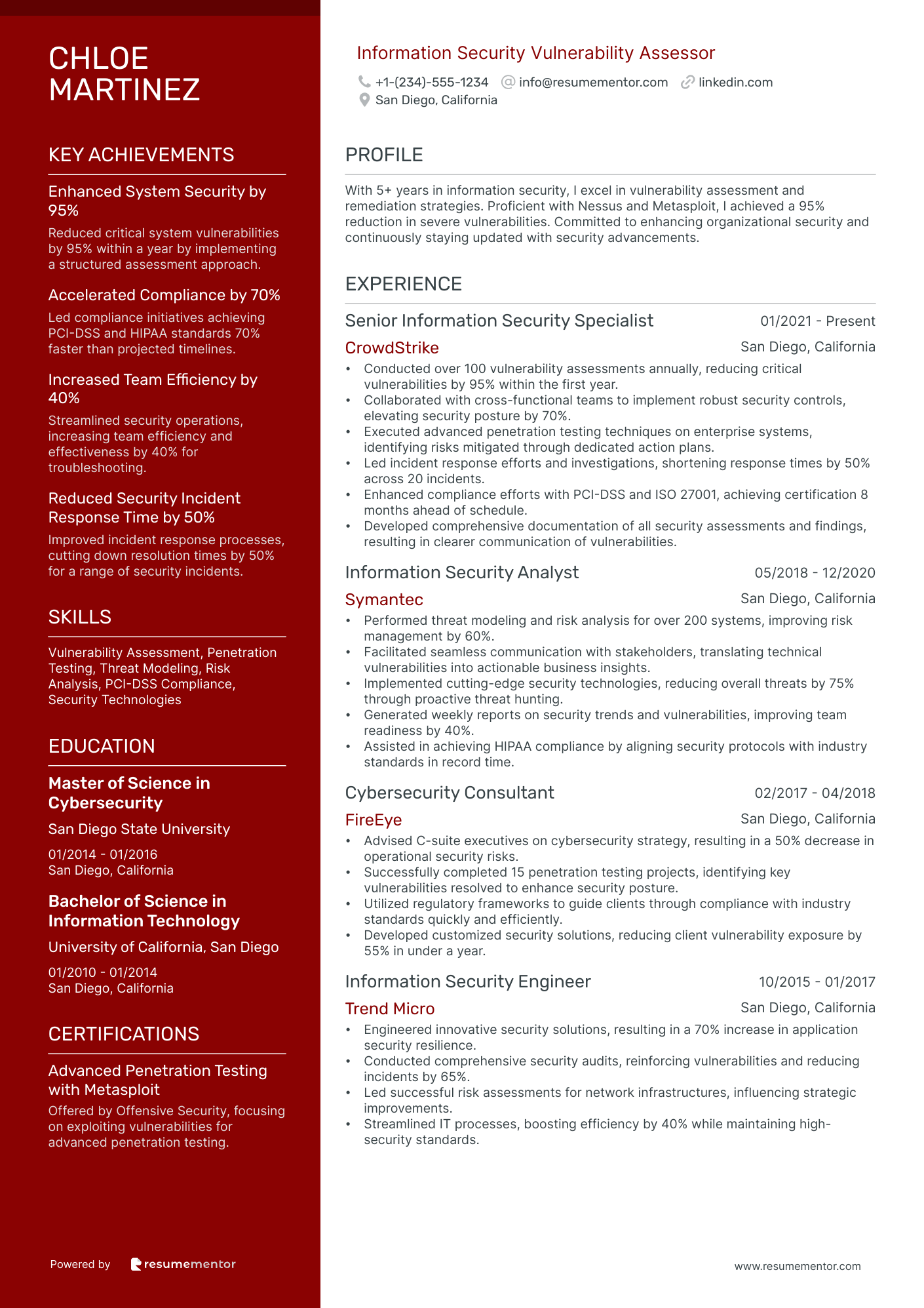 Information Security Vulnerability Assessor