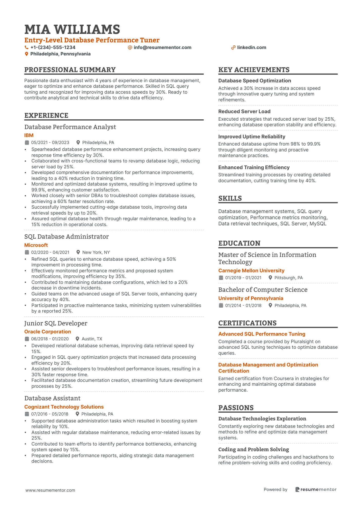Entry Level Database Performance Tuner