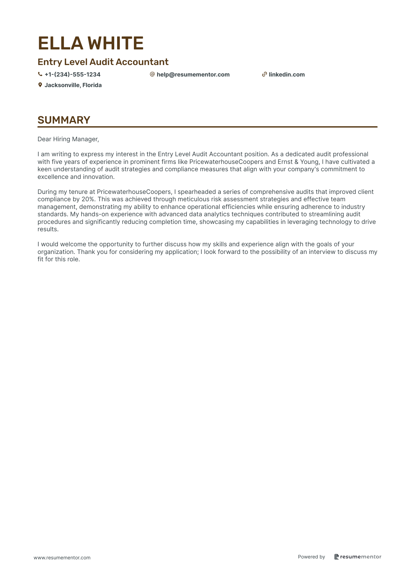 Entry Level Audit Accountant