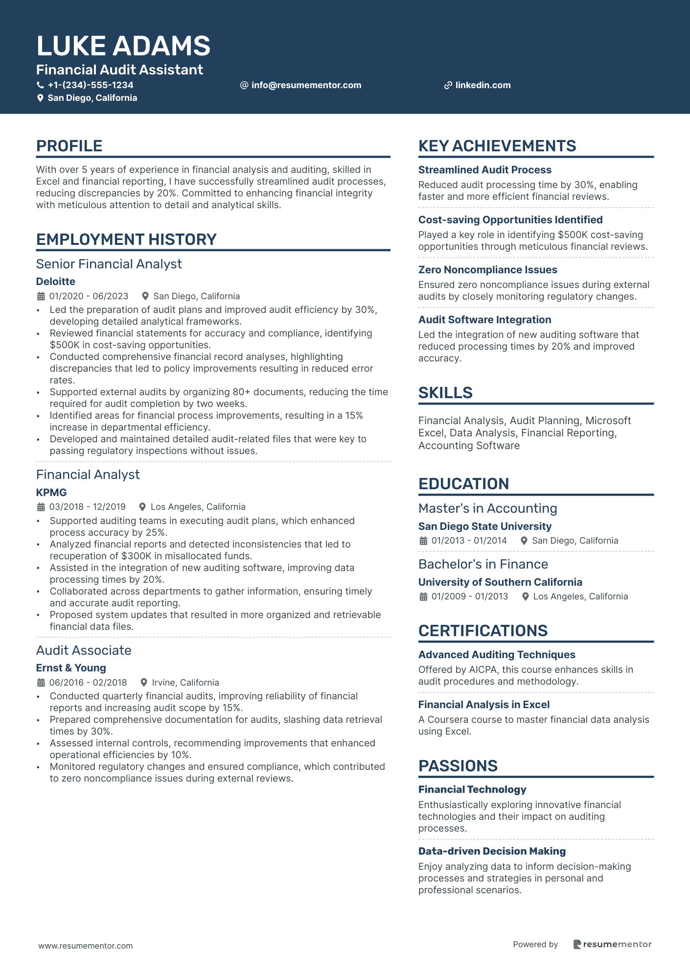 Financial Audit Assistant