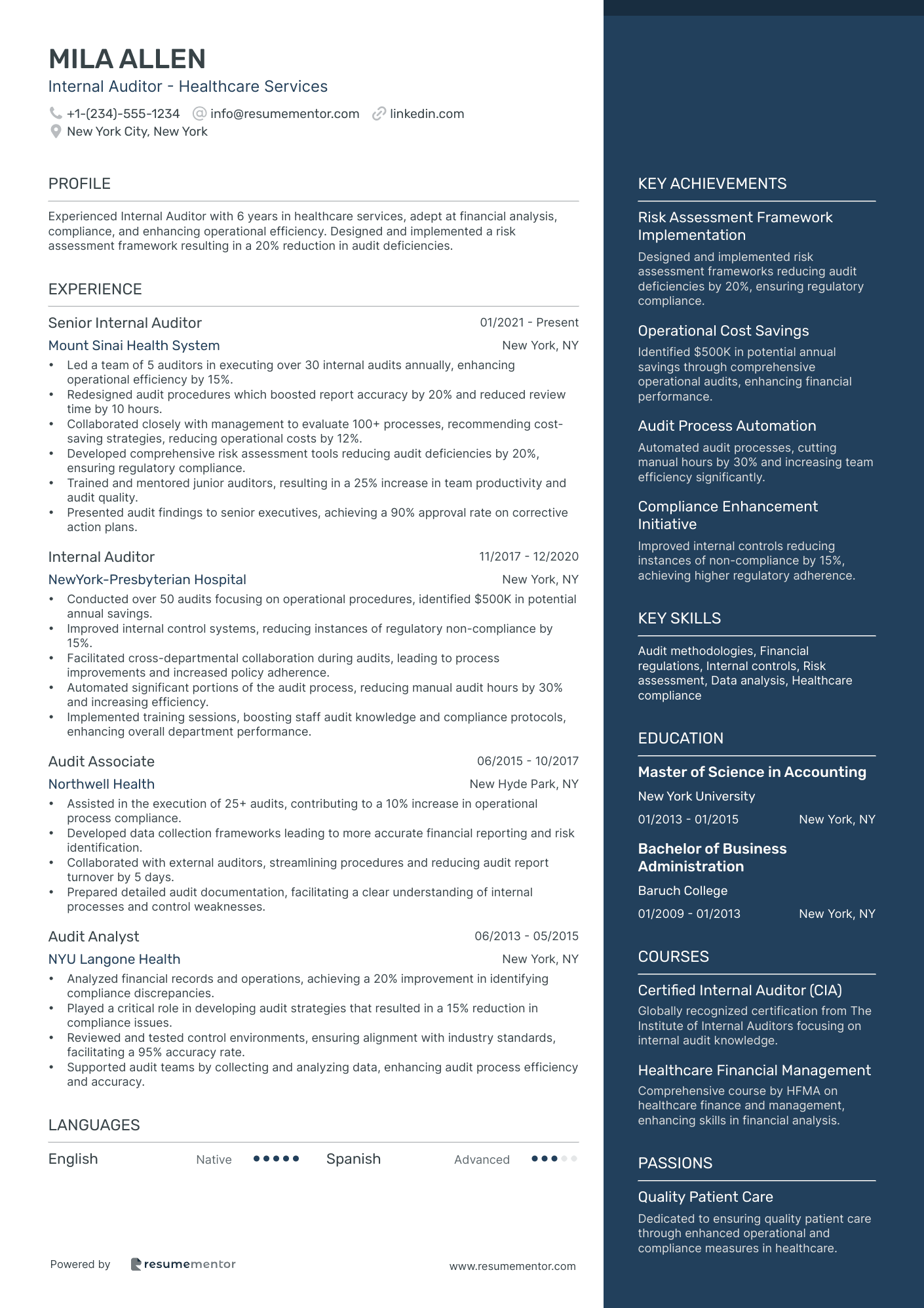 Internal Auditor   Healthcare Services