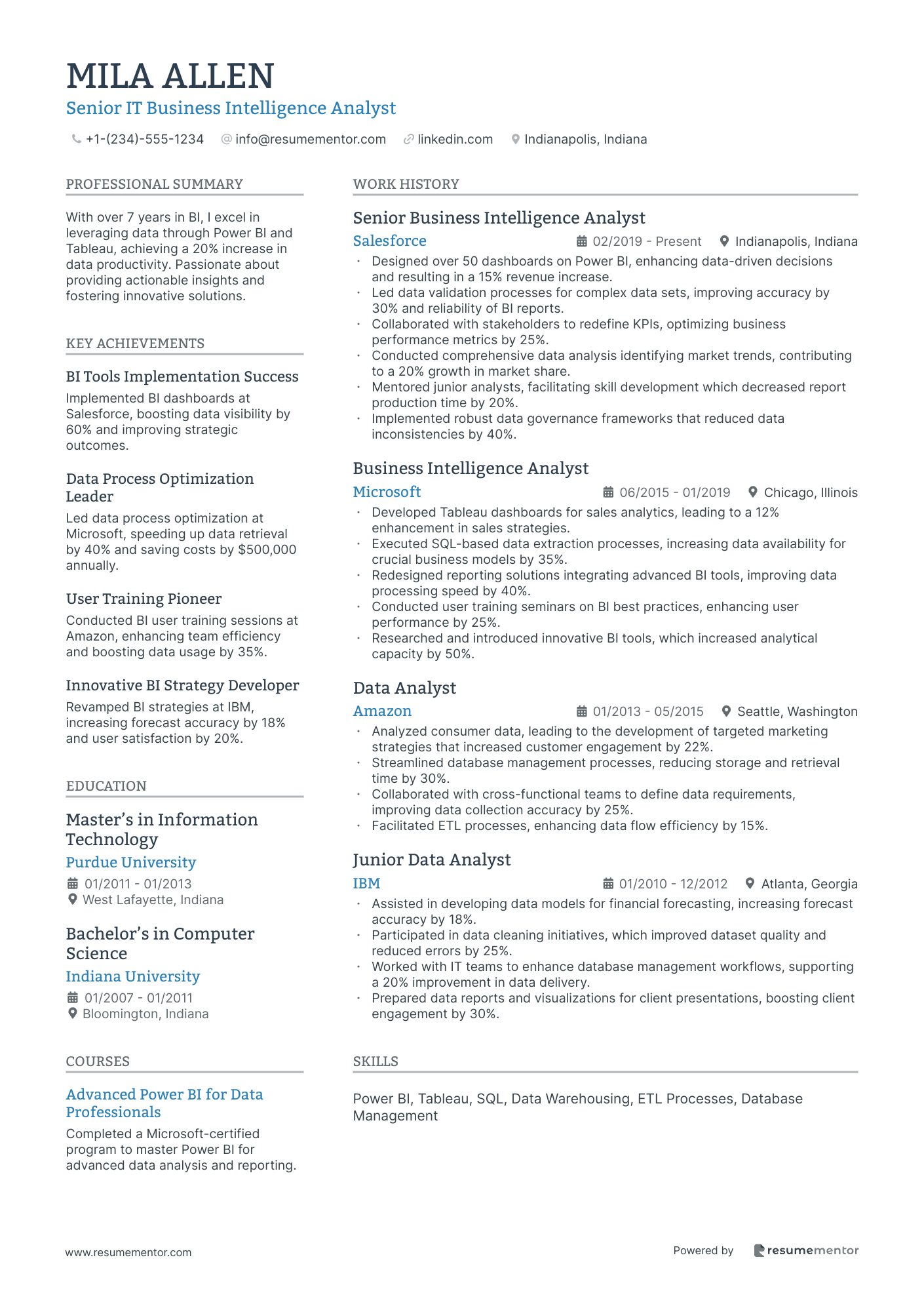 Senior IT Business Intelligence Analyst