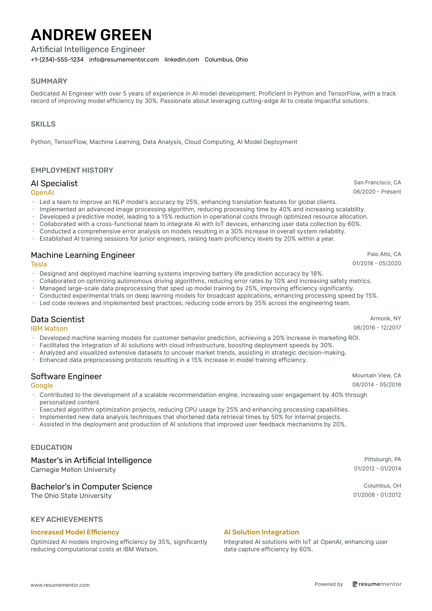 Artificial Intelligence Engineer