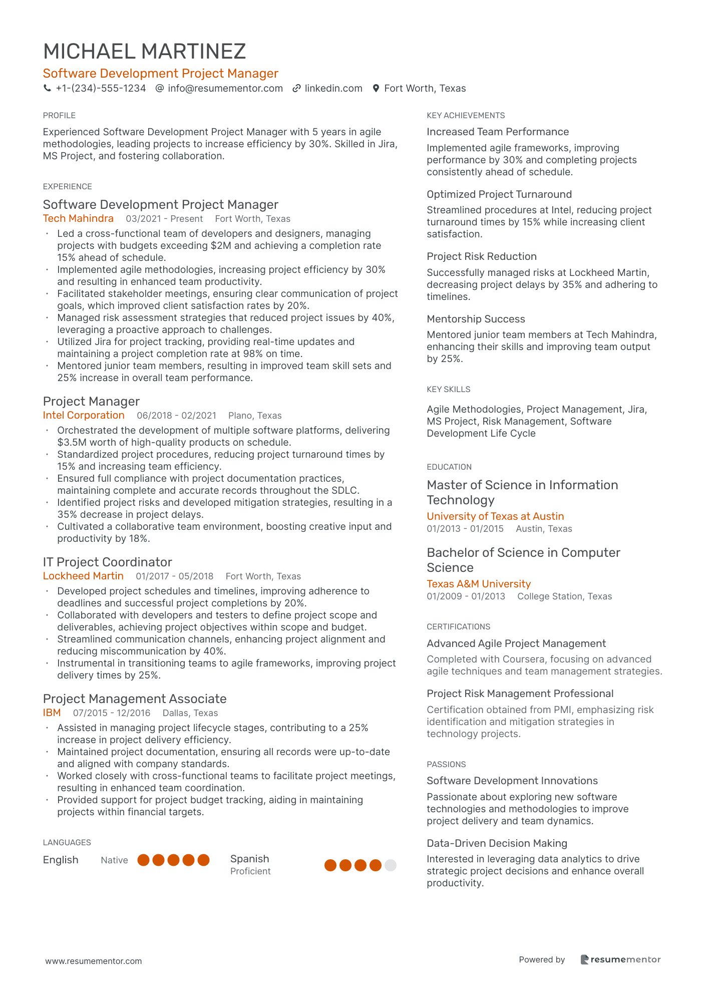 Software Development Project Manager
