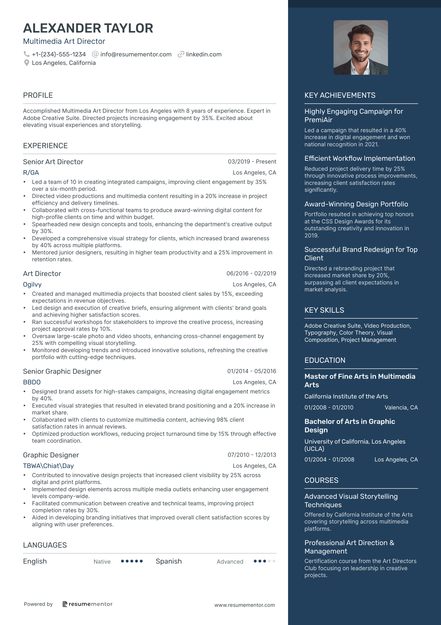 Multimedia Art Director