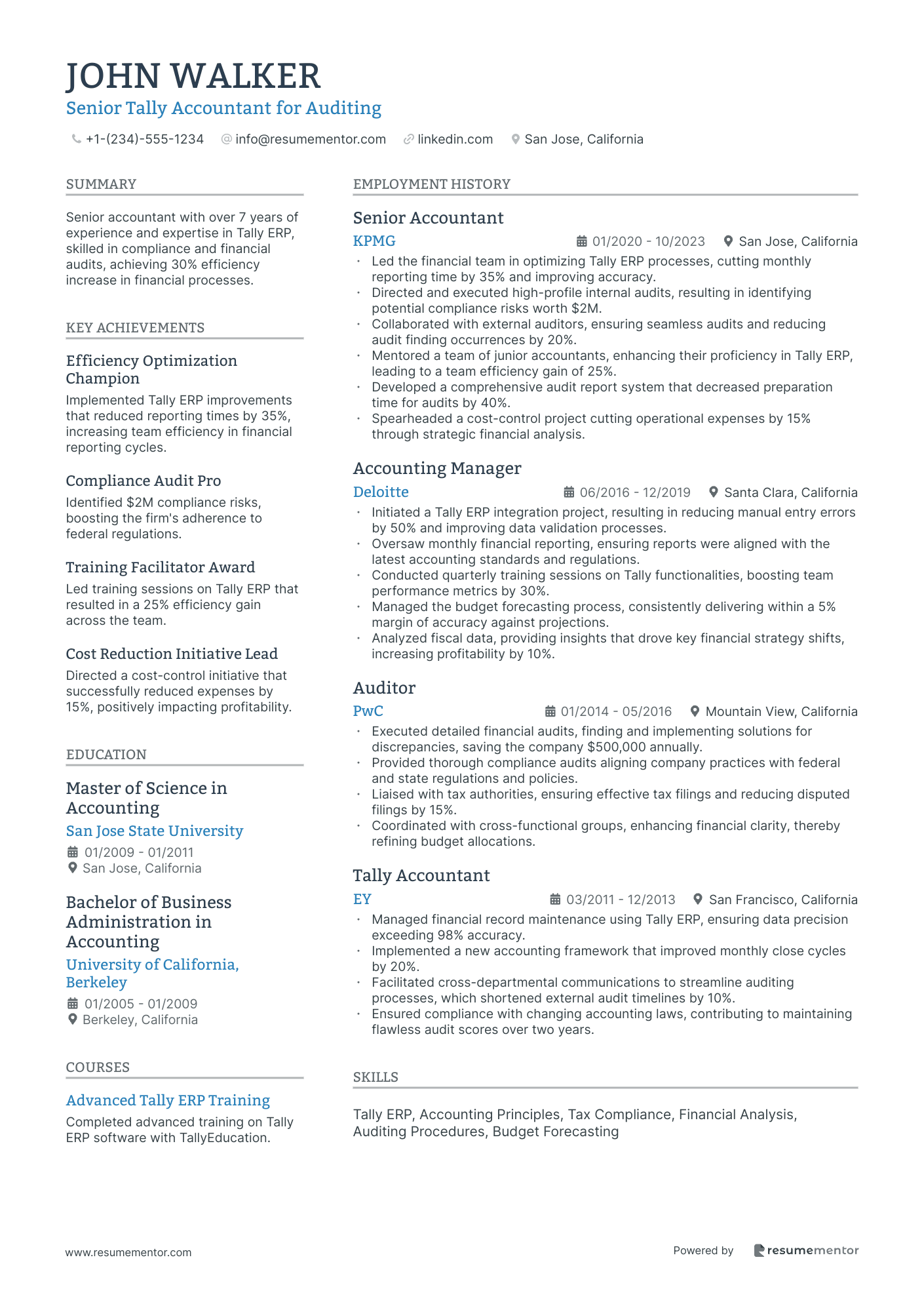 Senior Tally Accountant for Auditing
