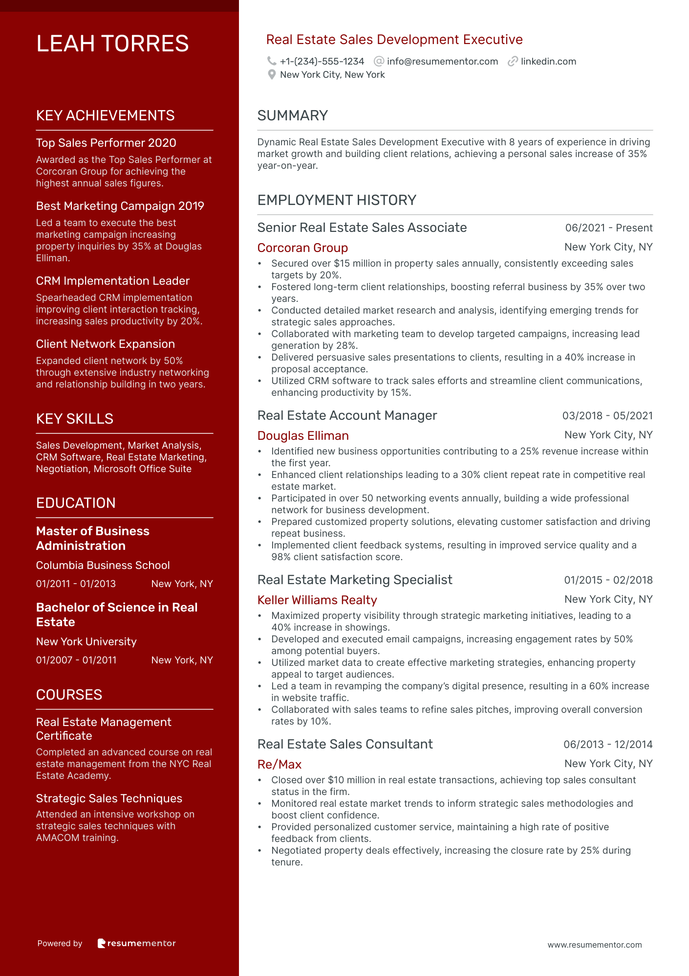 Real Estate Sales Development Executive