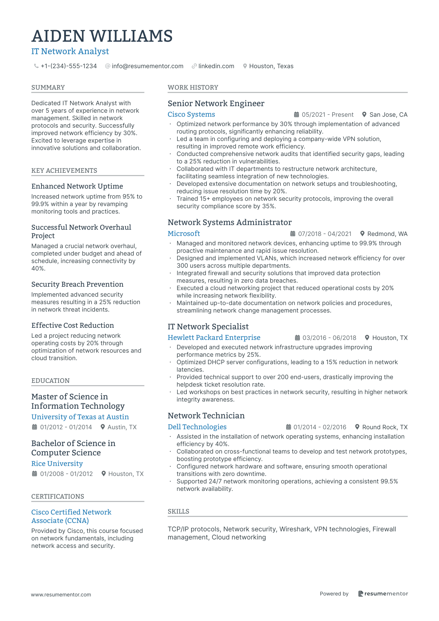 IT Network Analyst
