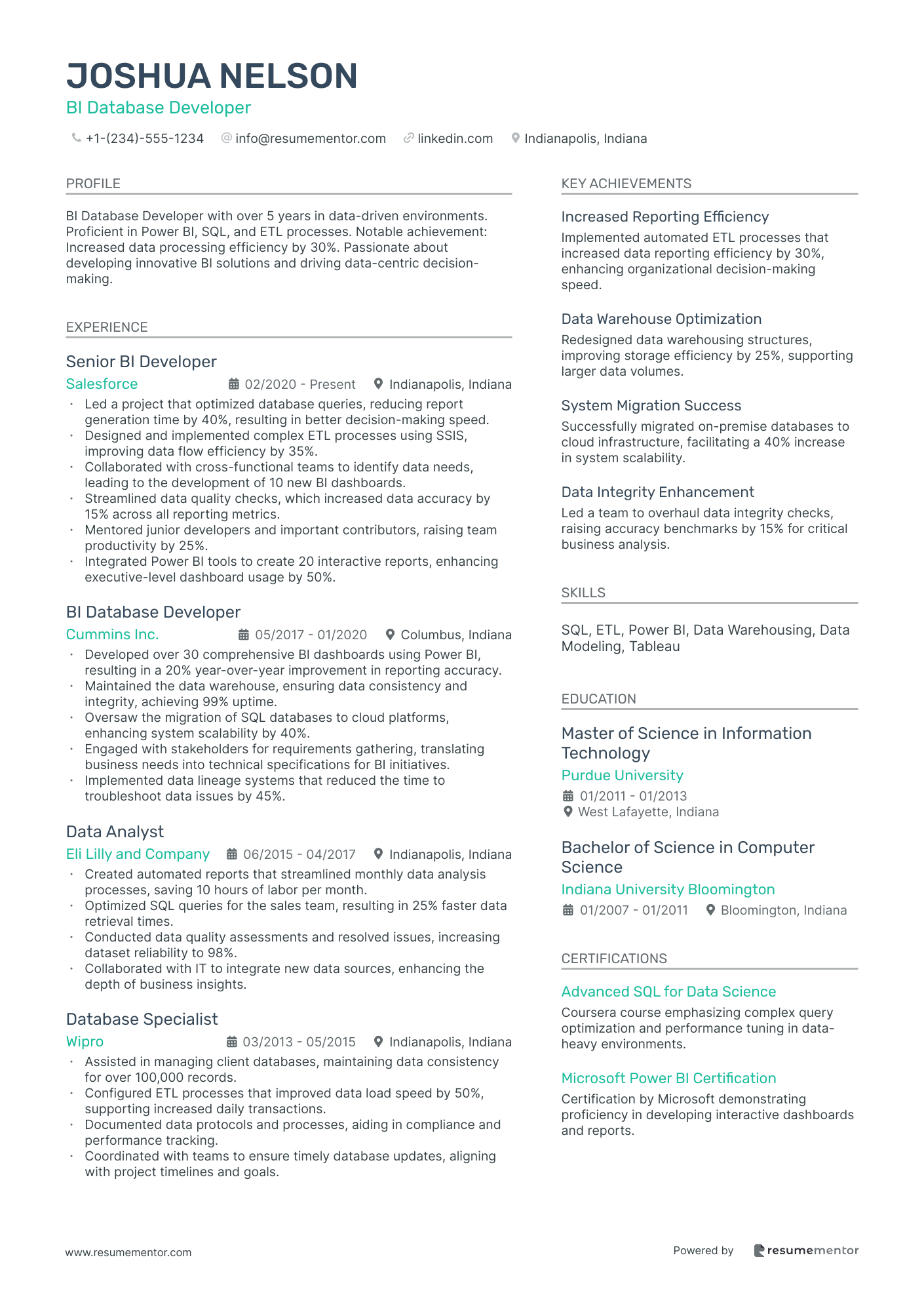 BI Database Developer