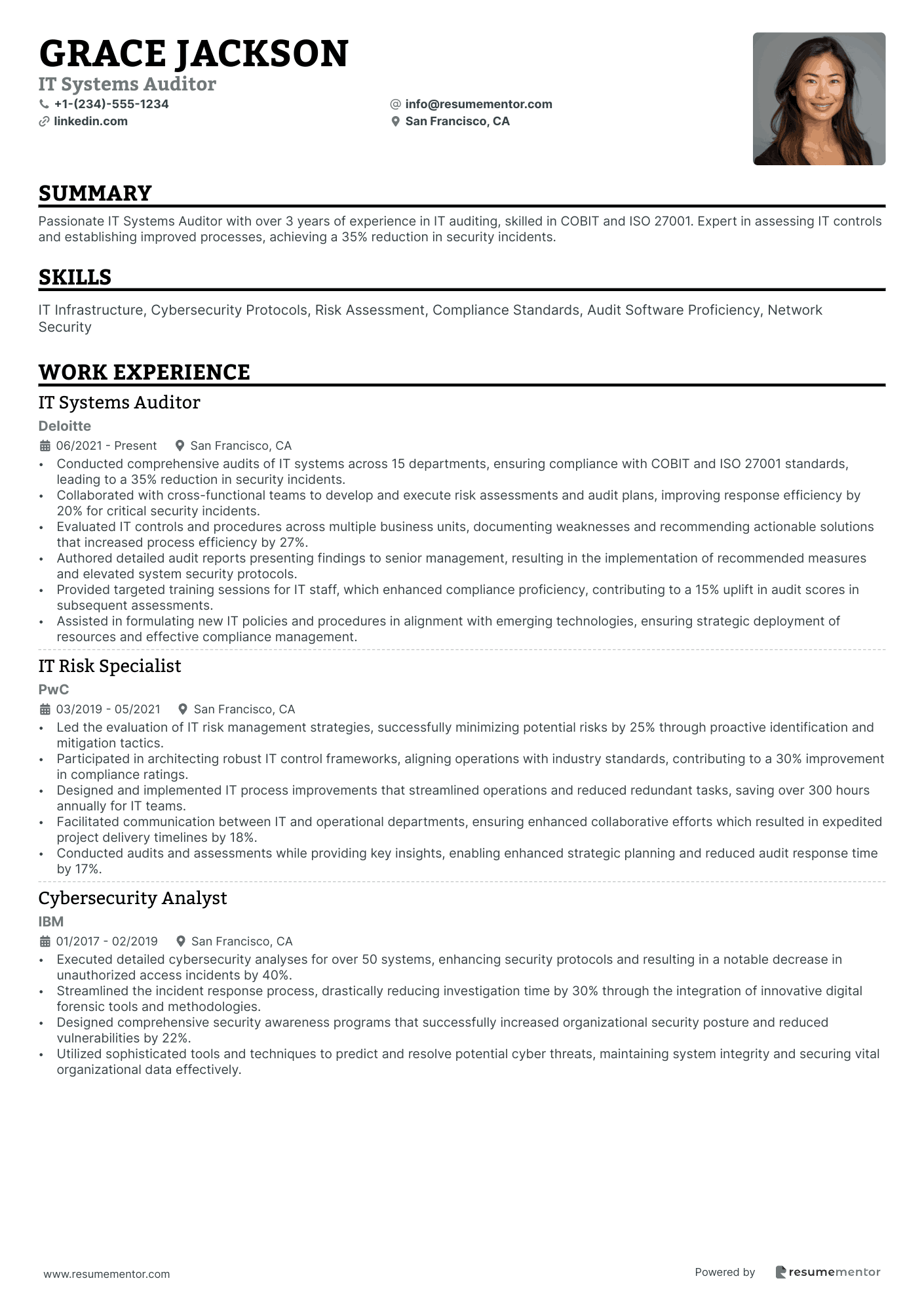 IT Systems Auditor