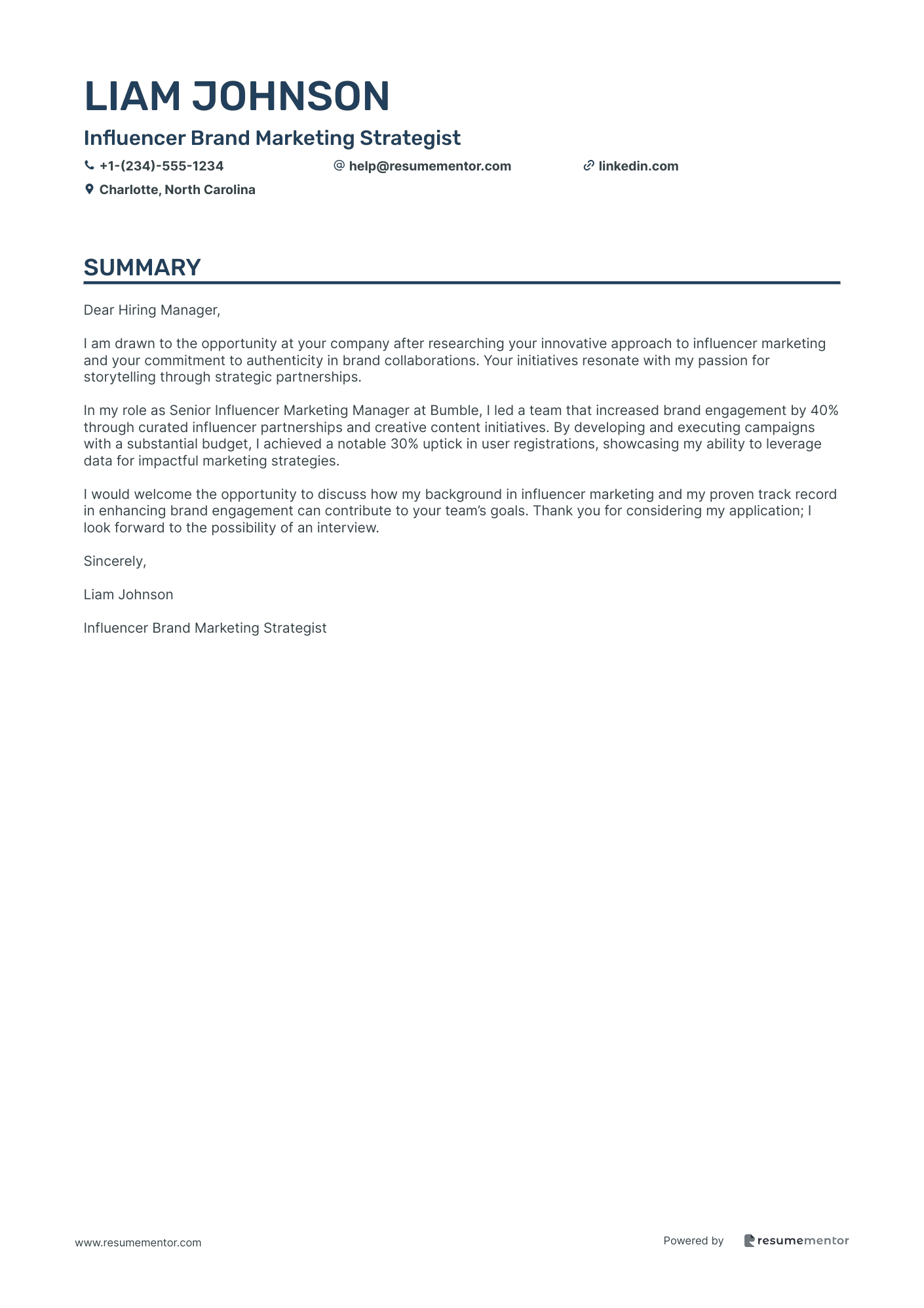 Influencer Brand Marketing Strategist
