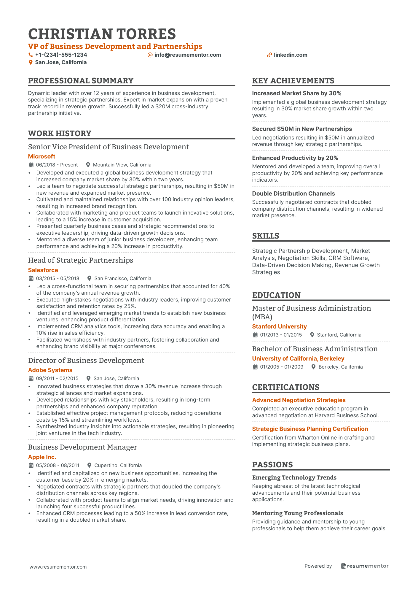VP of Business Development and Partnerships