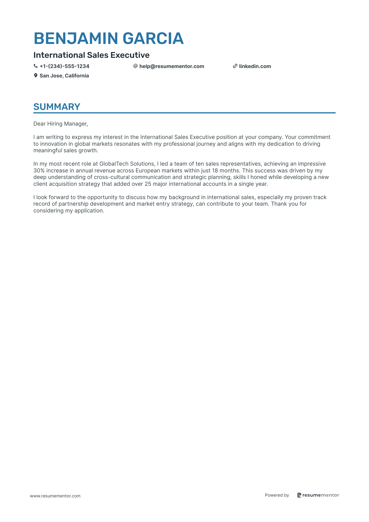 International Sales Executive