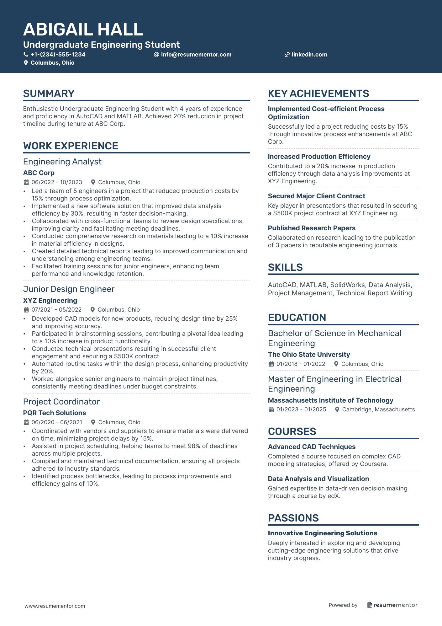 Undergraduate Engineering Student