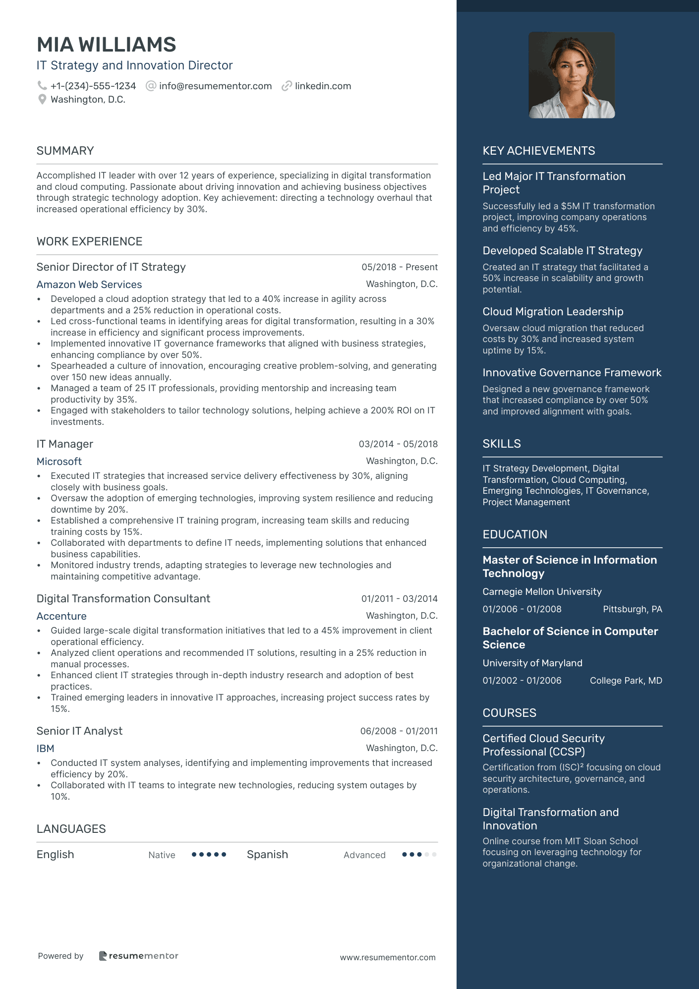IT Strategy and Innovation Director