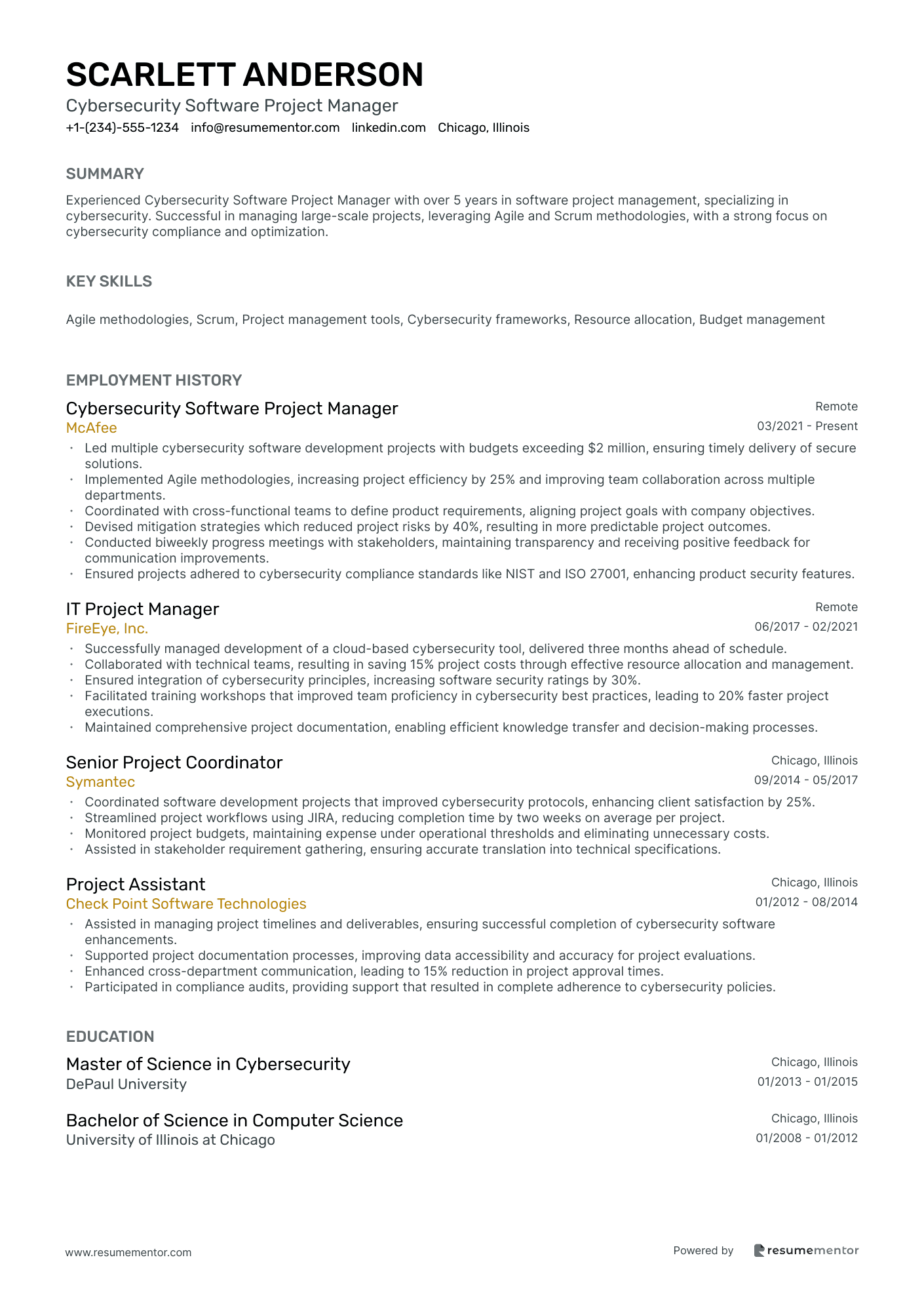Cybersecurity Software Project Manager