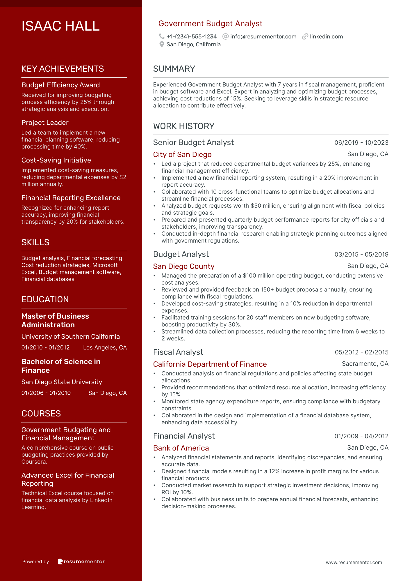 Government Budget Analyst