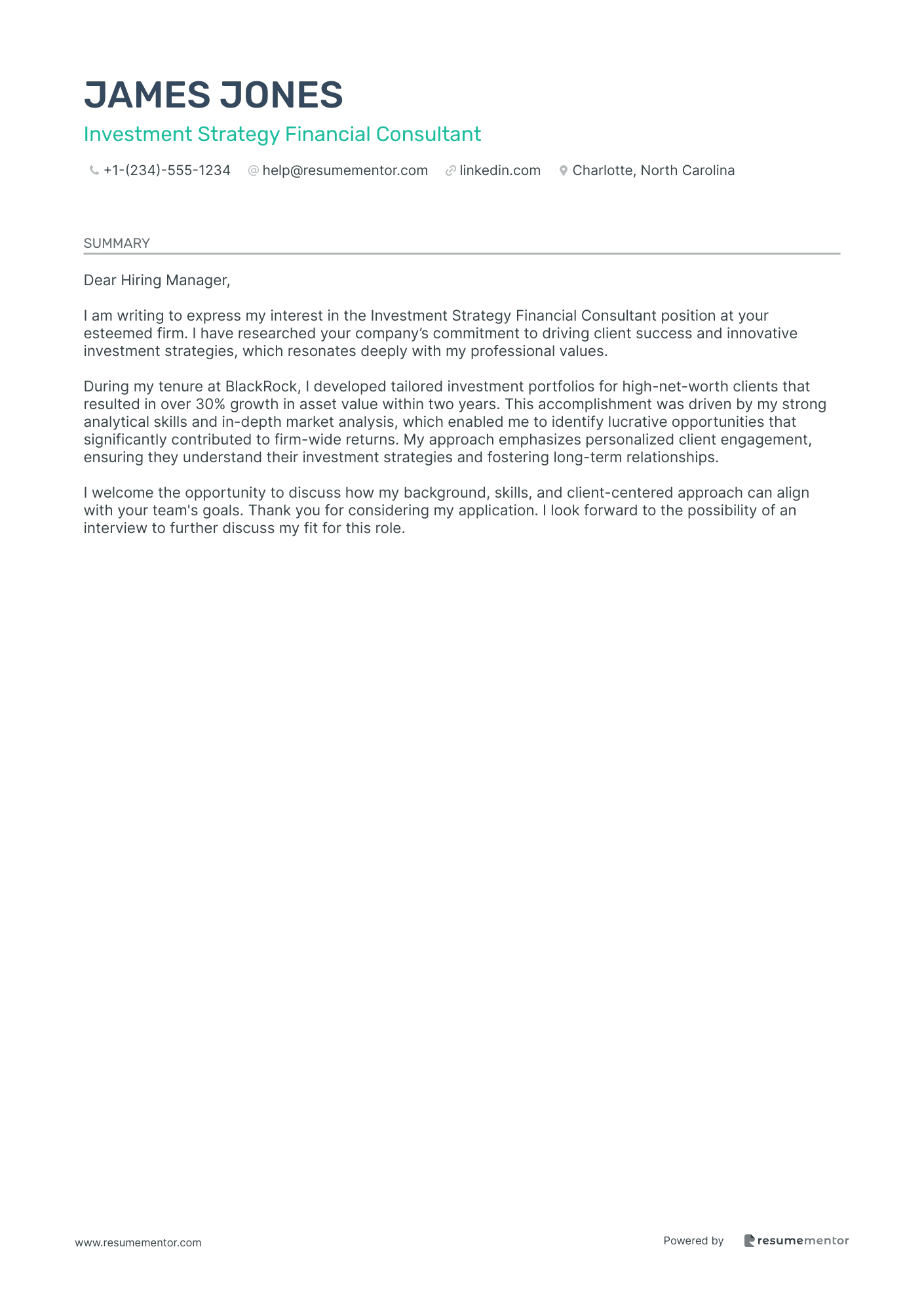 Investment Strategy Financial Consultant