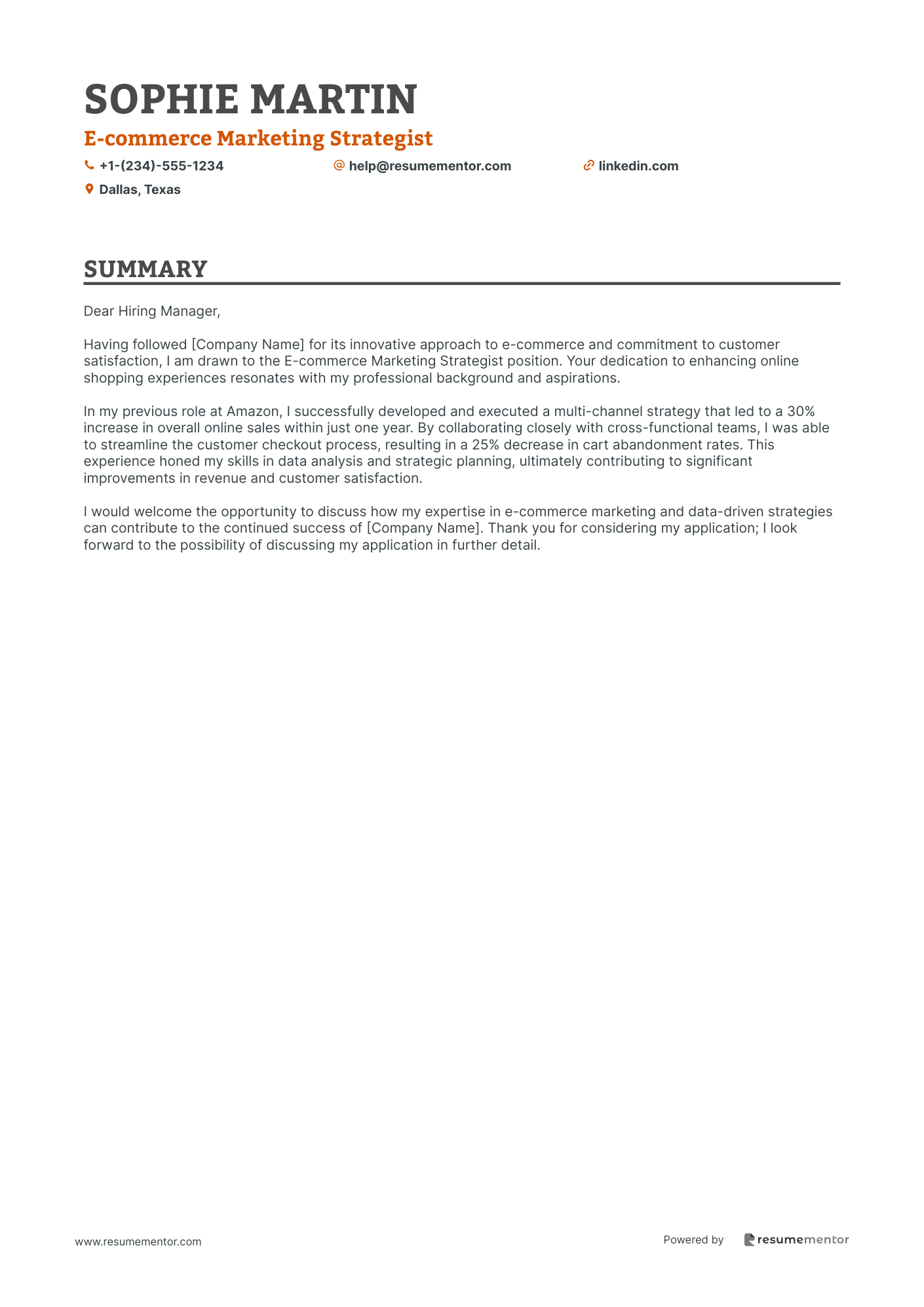 E commerce Marketing Strategist