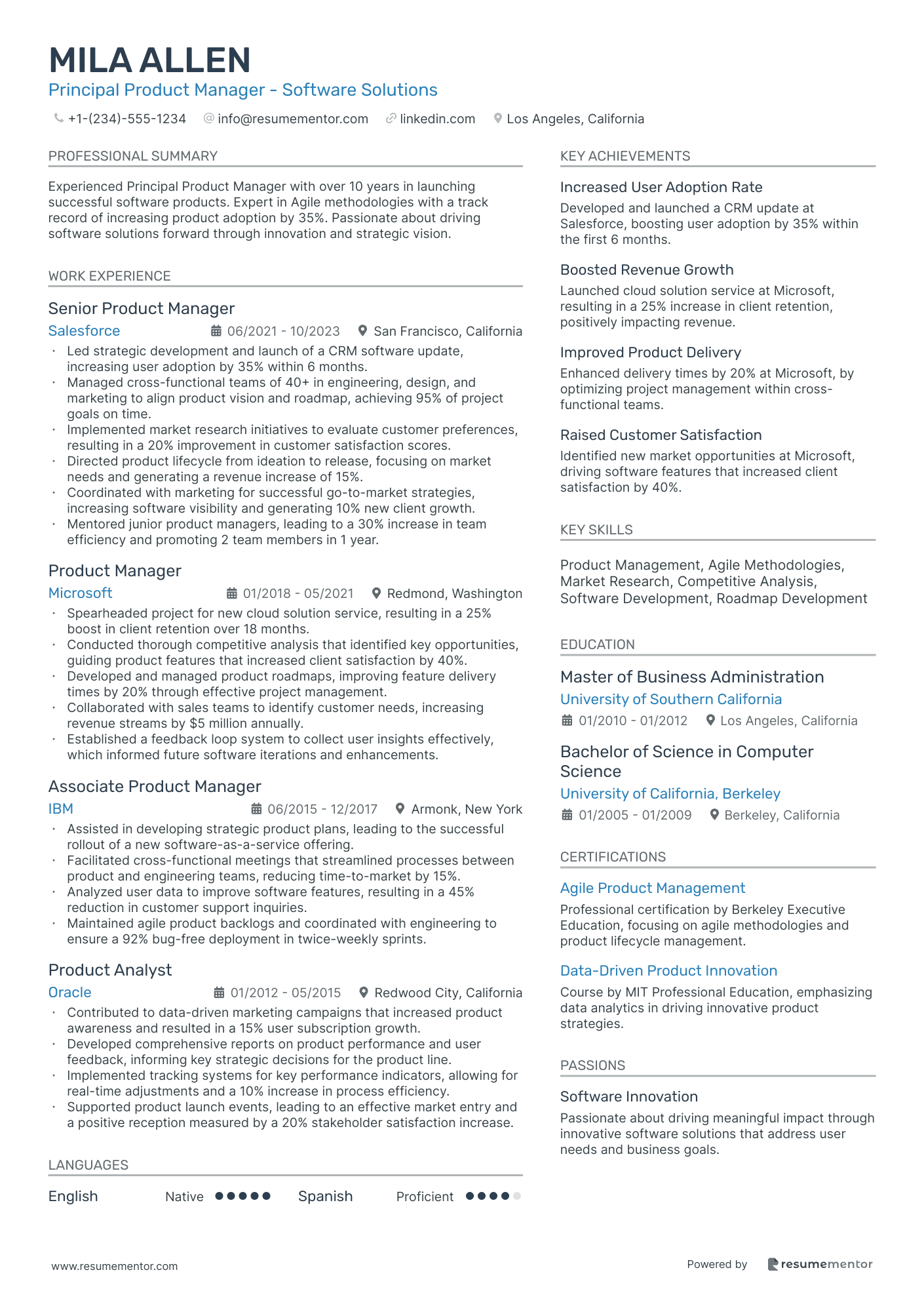 Principal Product Manager   Software Solutions