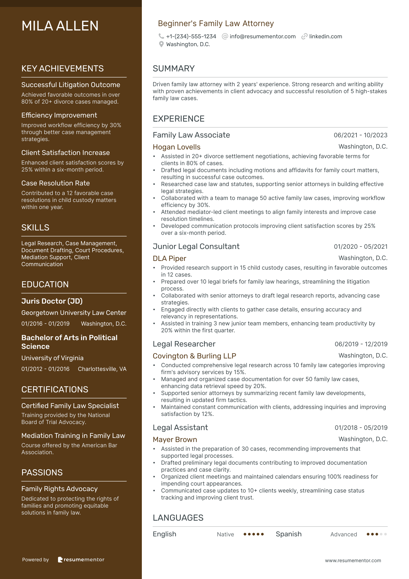 Beginner's Family Law Attorney