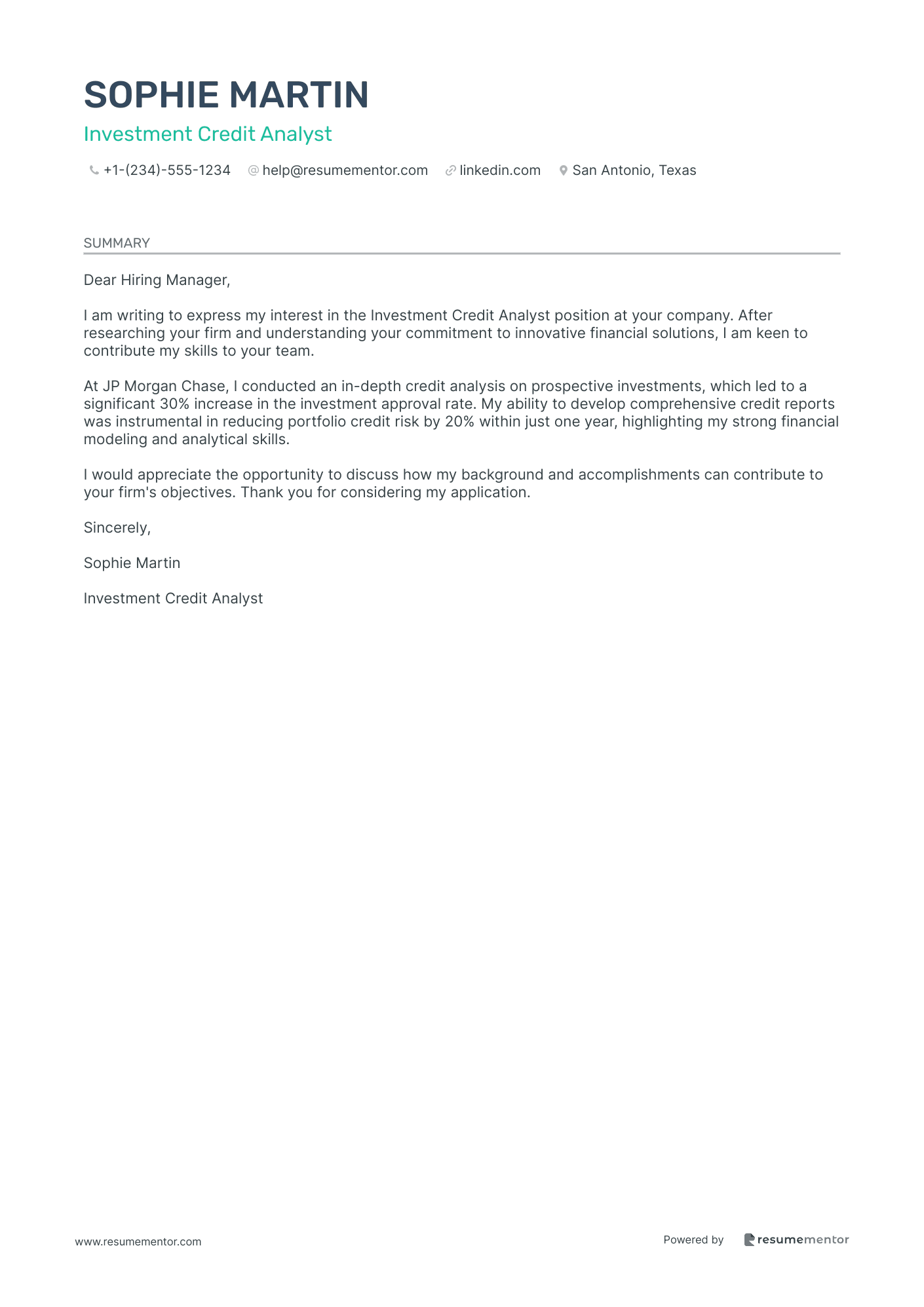 Investment Credit Analyst