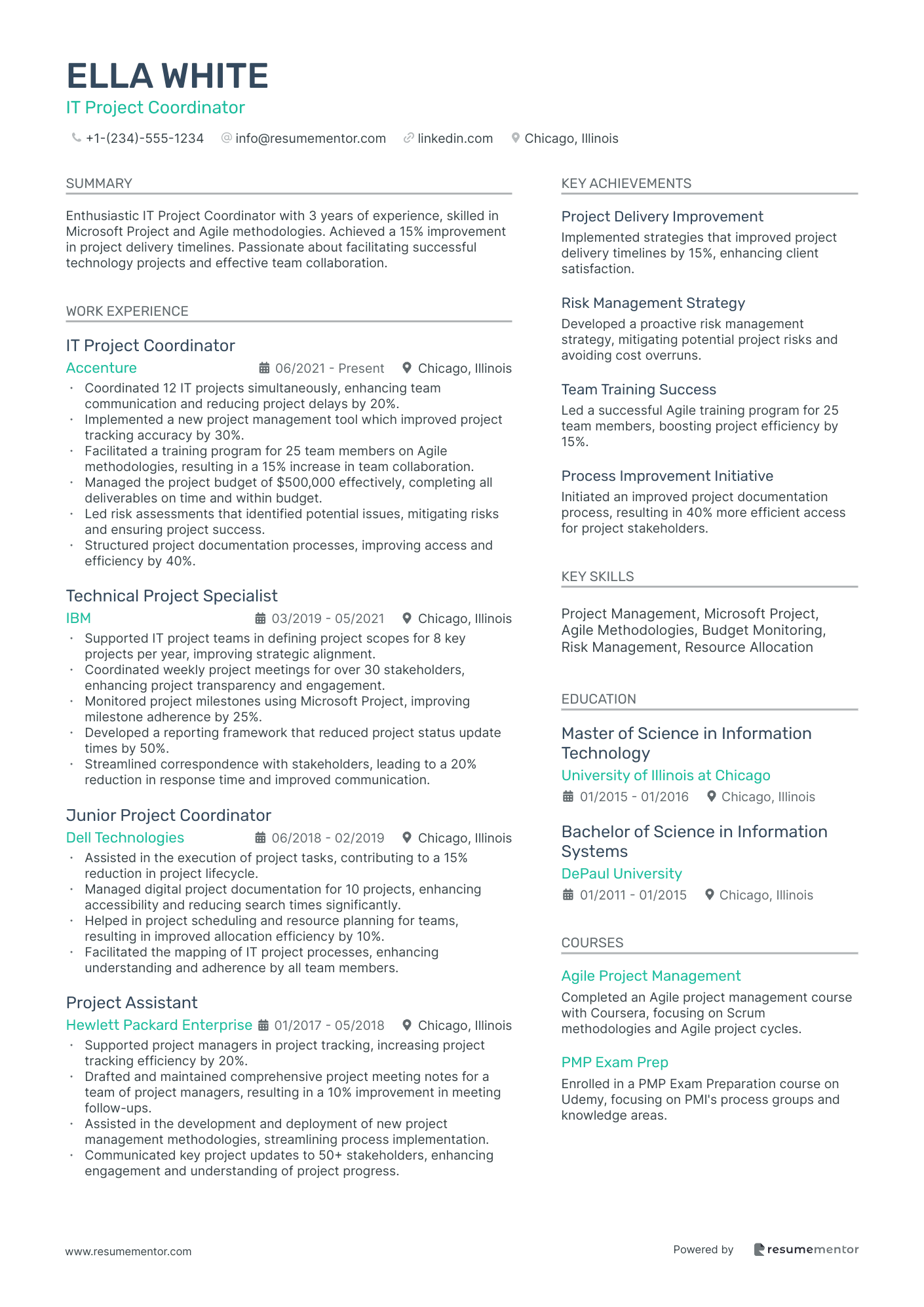 IT Project Coordinator
