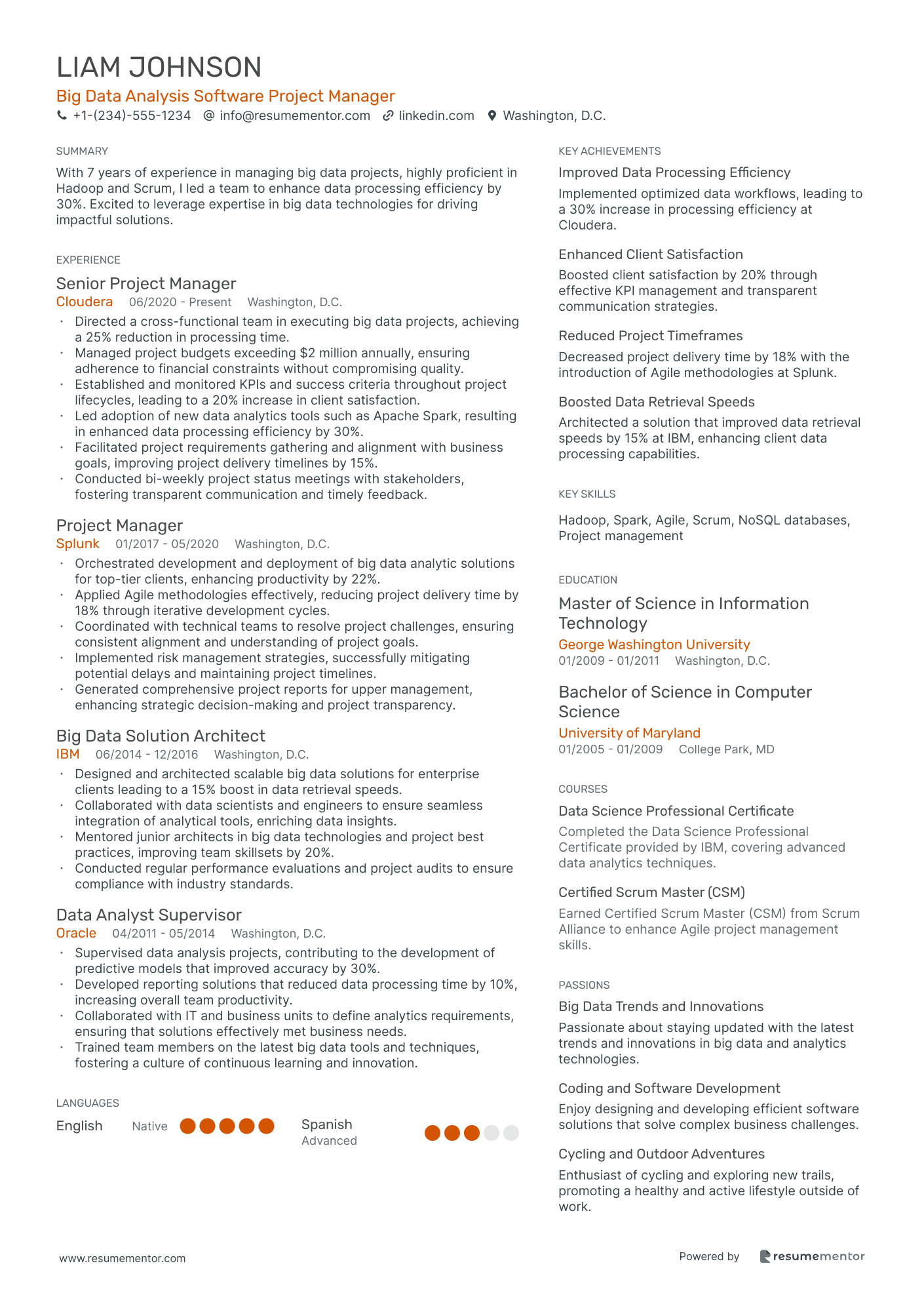 Big Data Analysis Software Project Manager