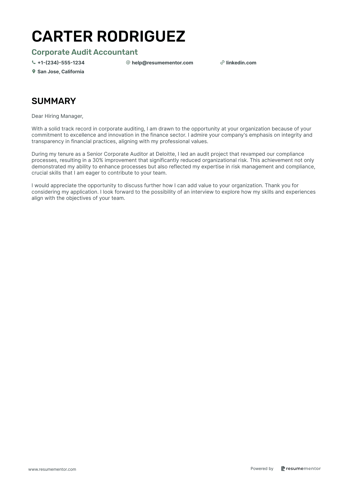 Corporate Audit Accountant