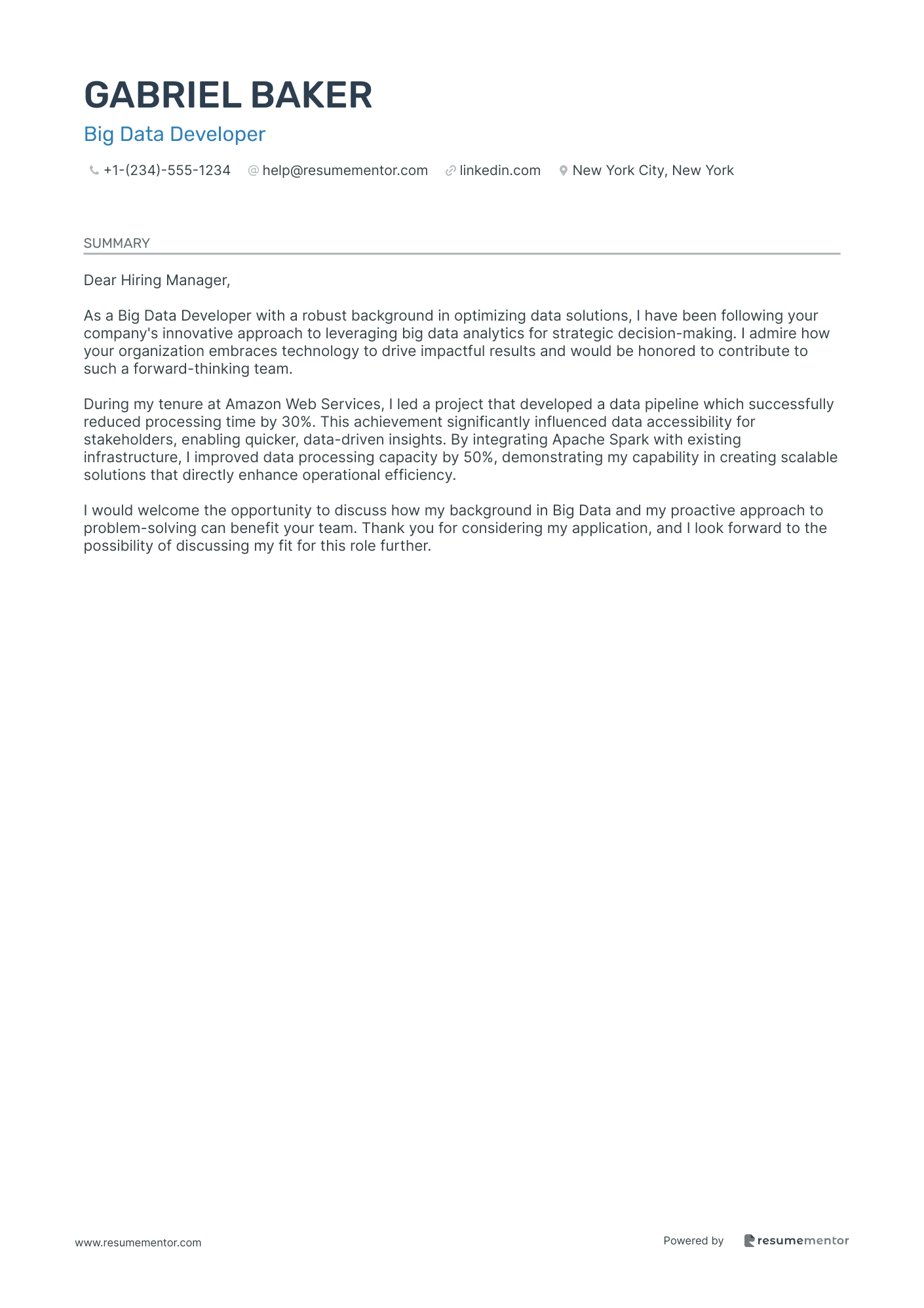 Big Data Developer