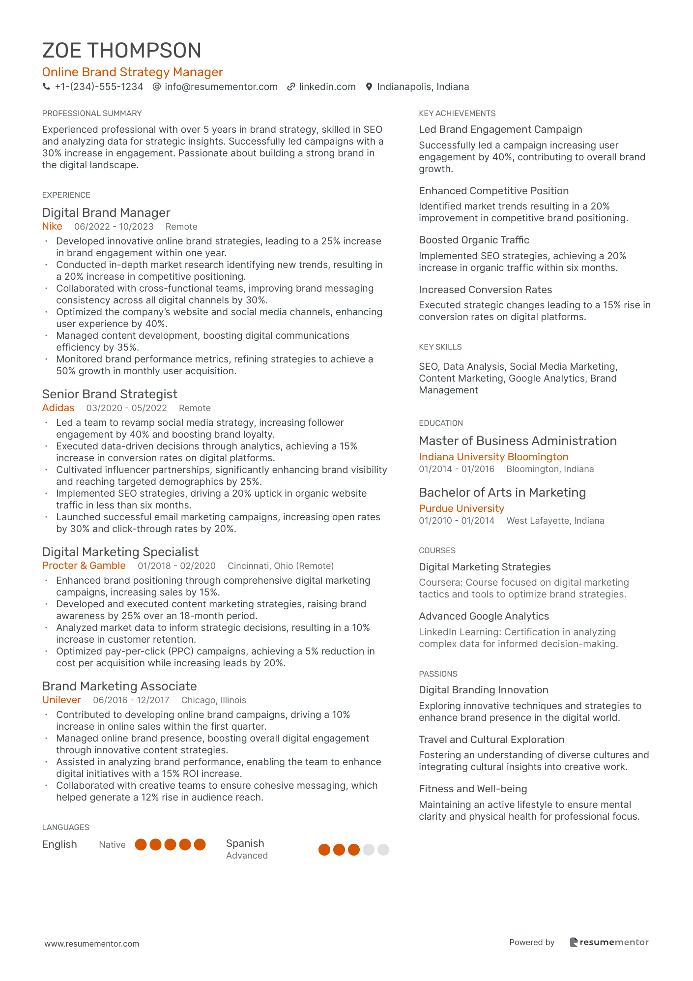 Online Brand Strategy Manager