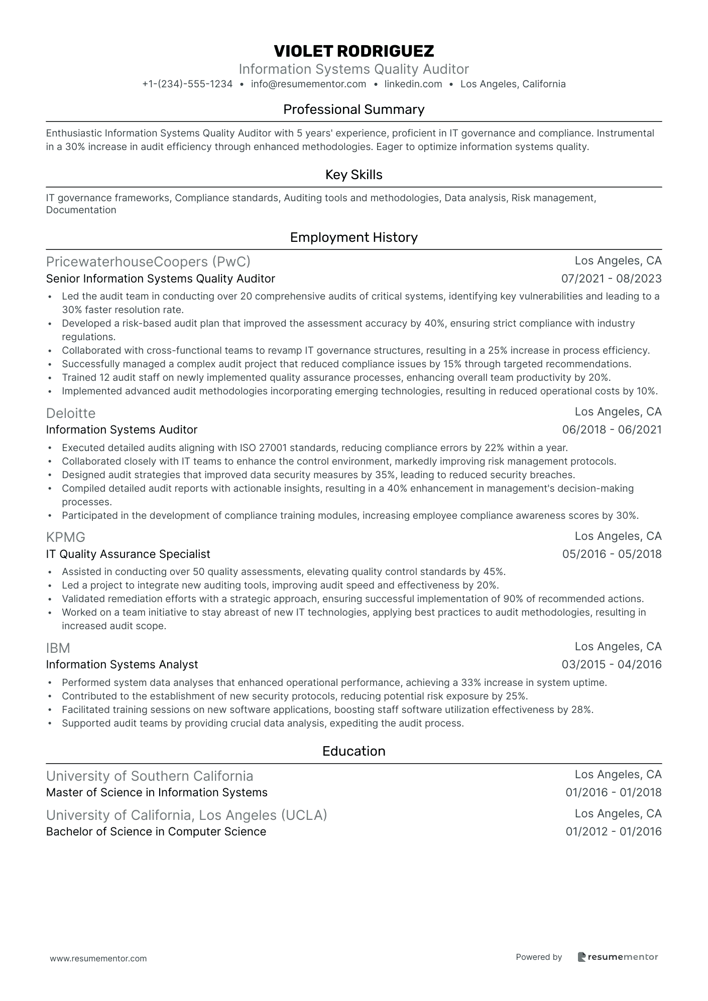 Information Systems Quality Auditor