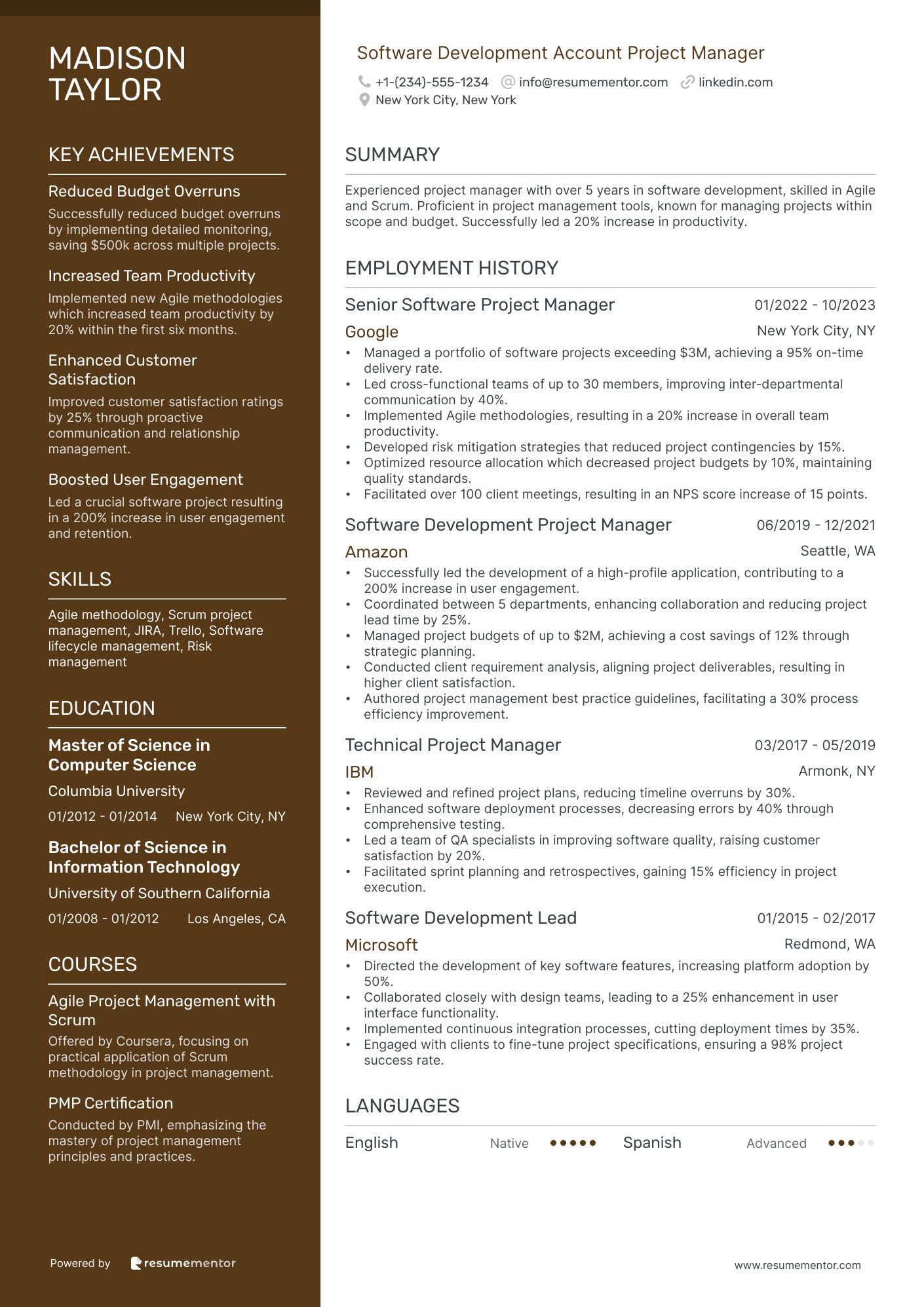 Software Development Account Project Manager