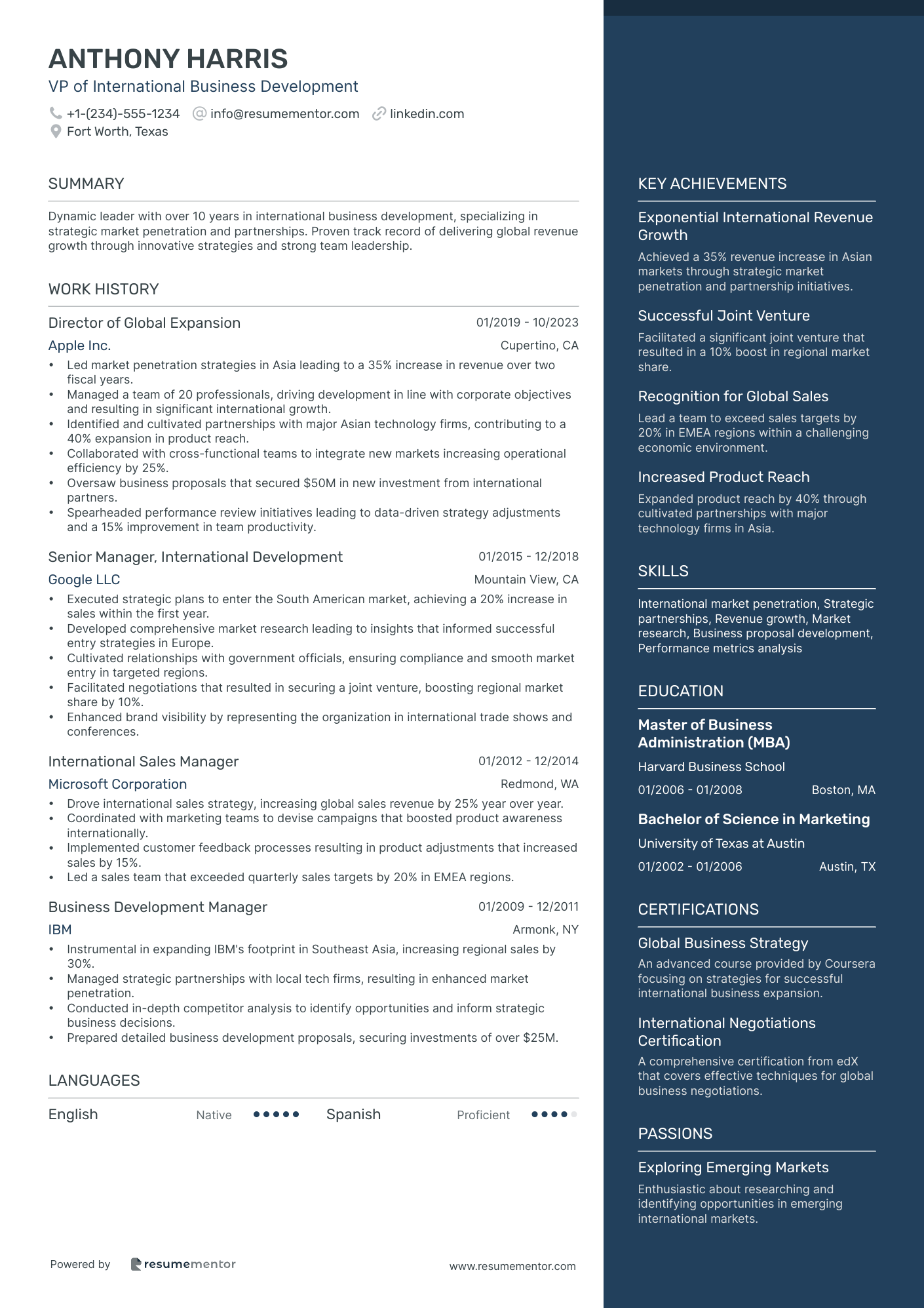 VP of International Business Development