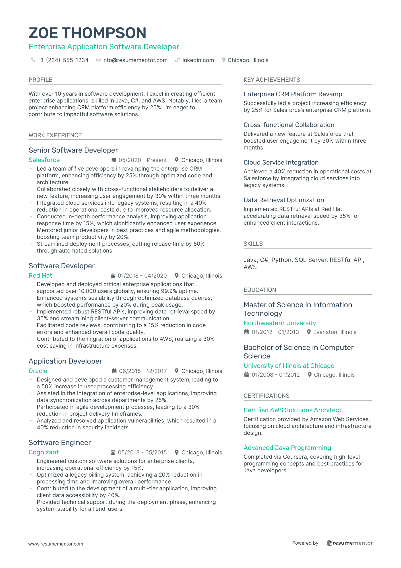 Enterprise Application Software Developer