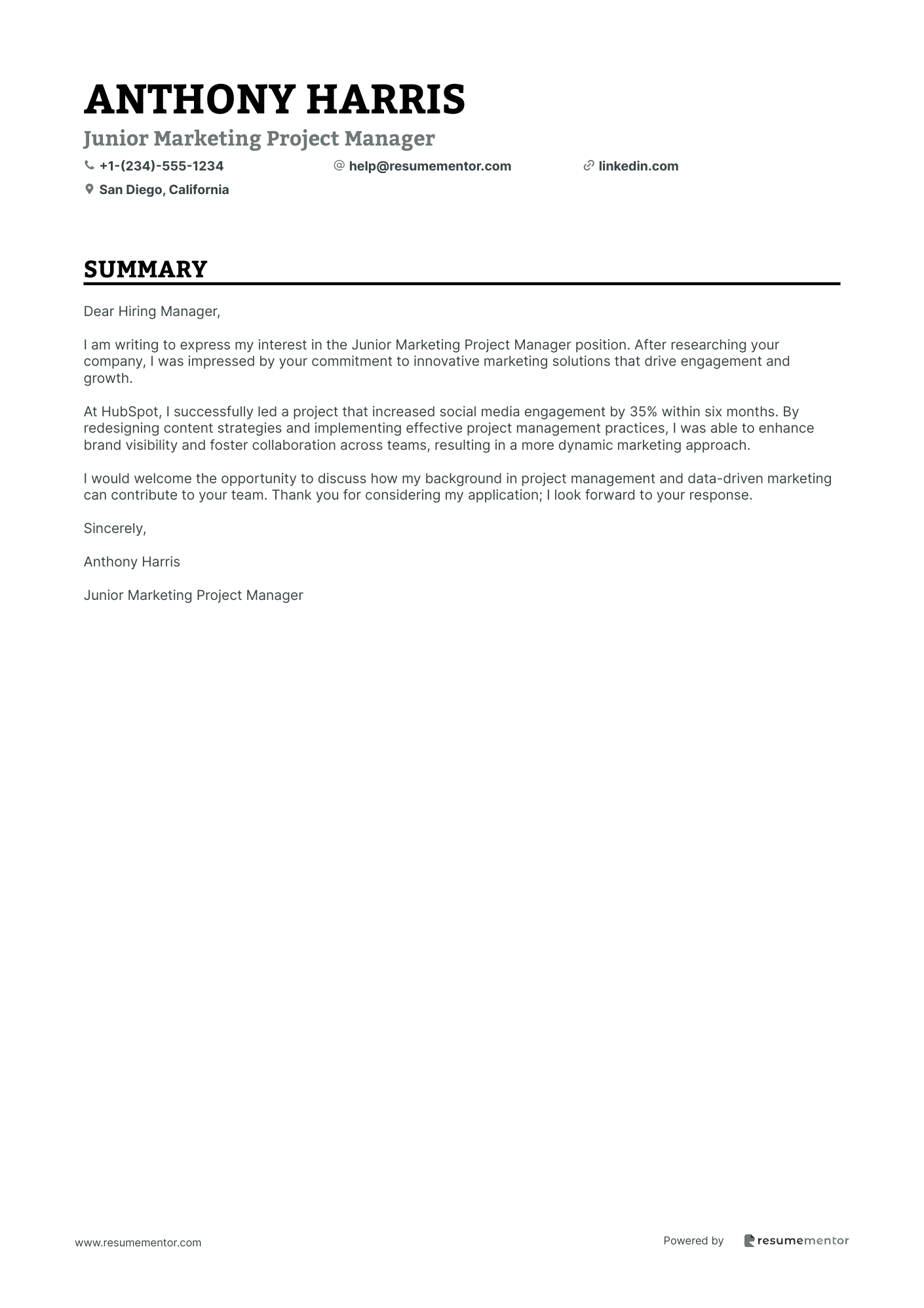 Junior Marketing Project Manager