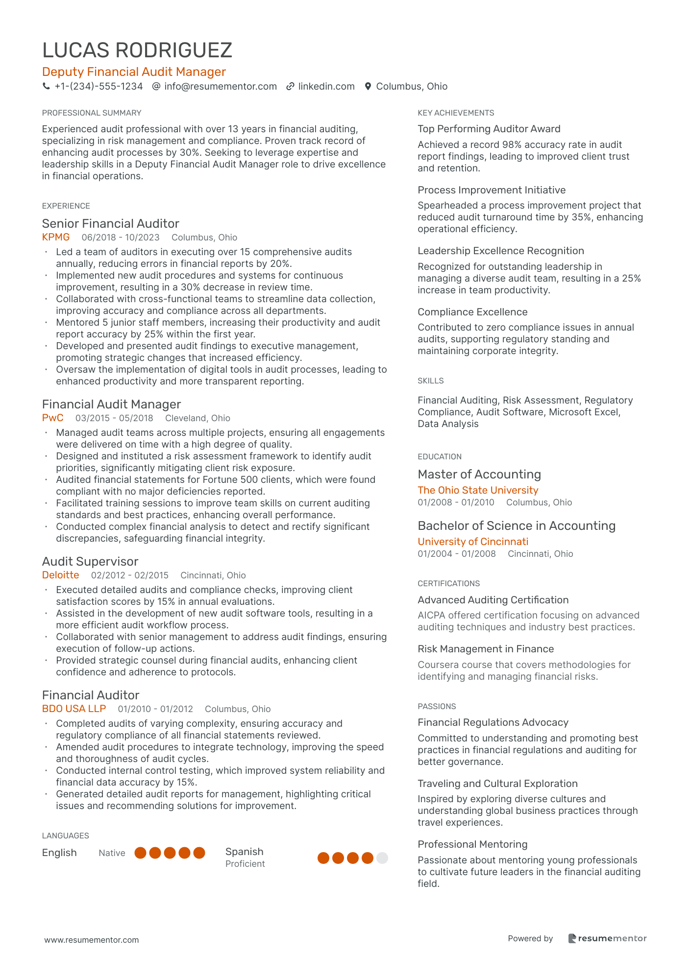 Deputy Financial Audit Manager