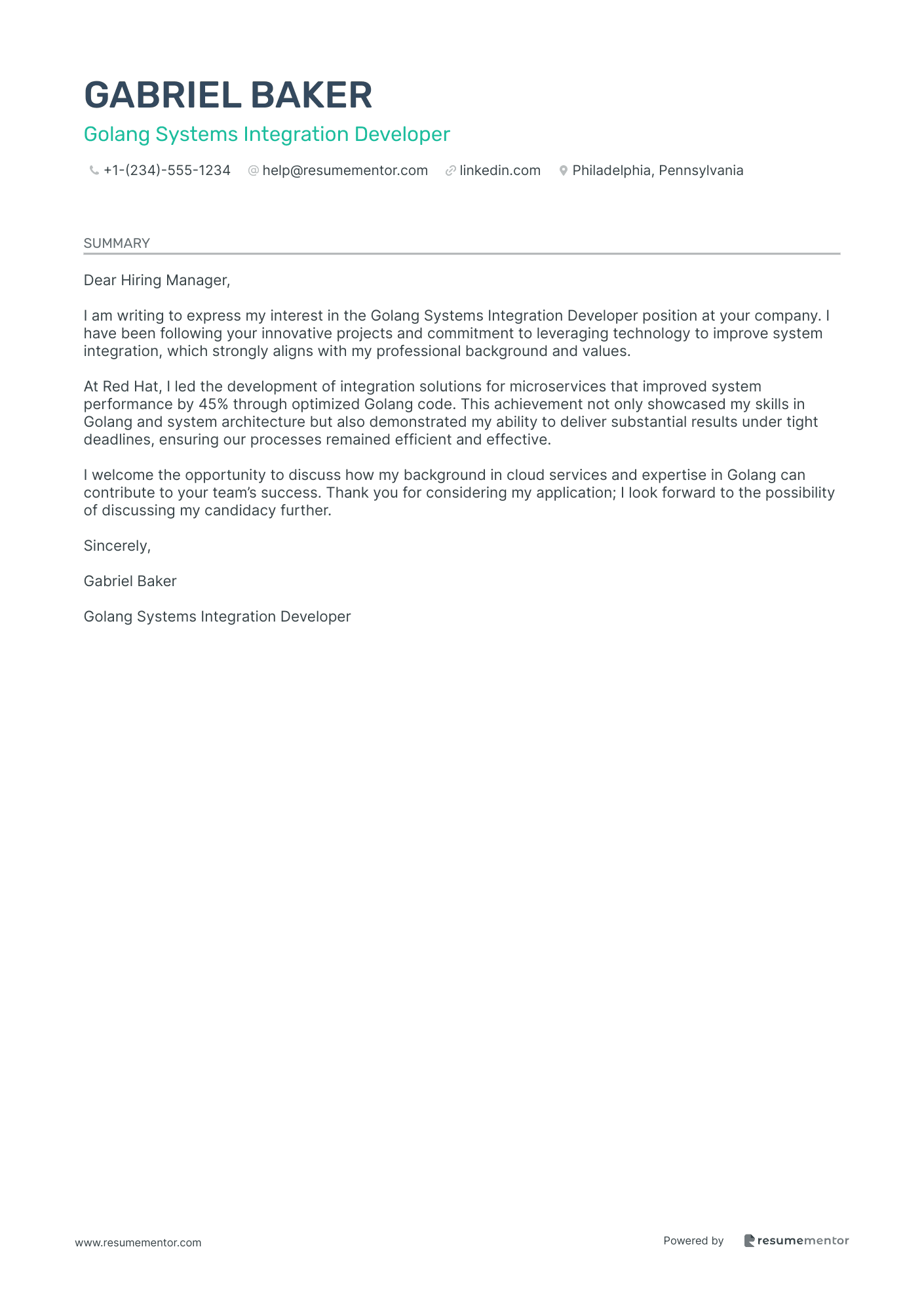 Golang Systems Integration Developer