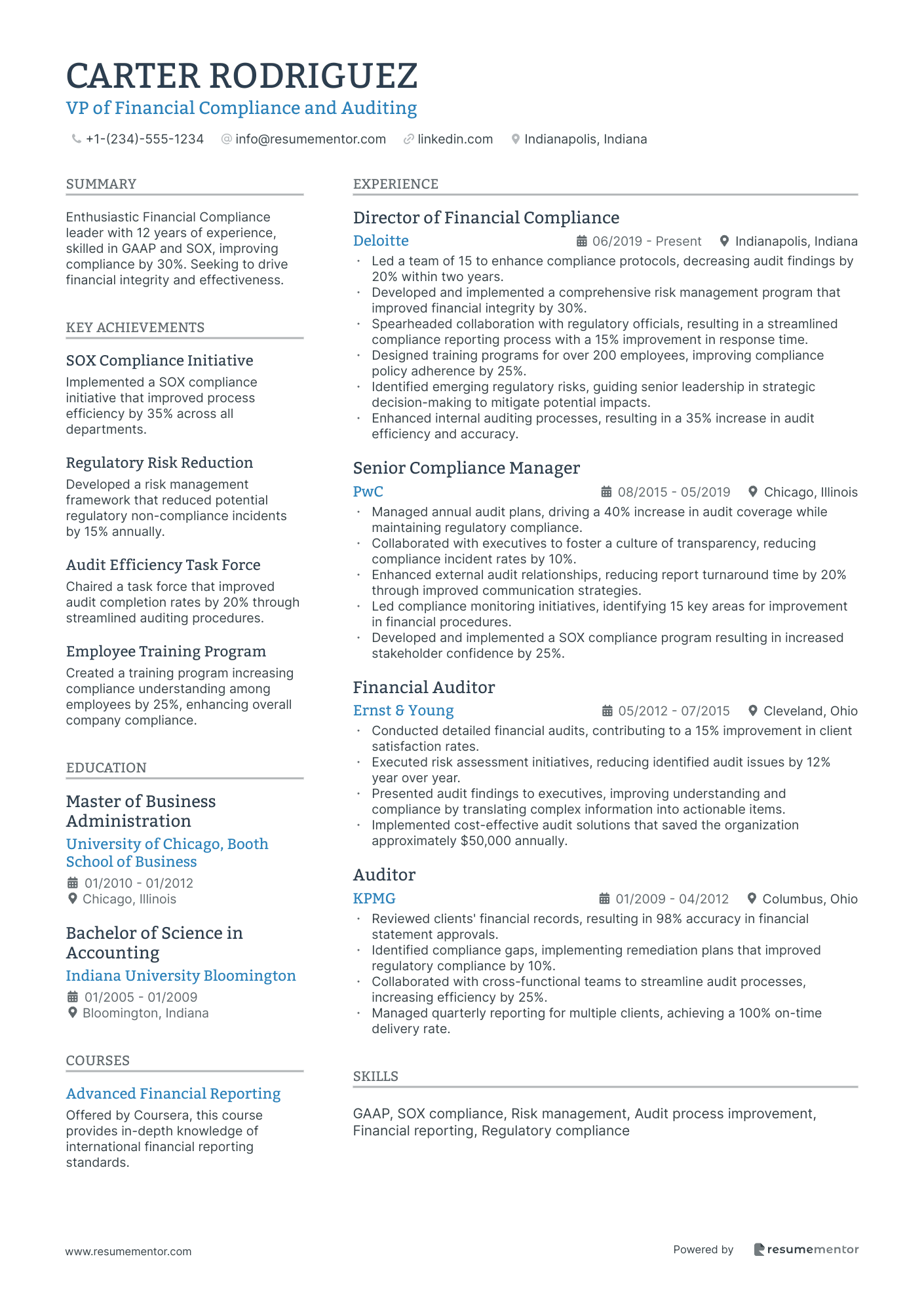 VP of Financial Compliance and Auditing