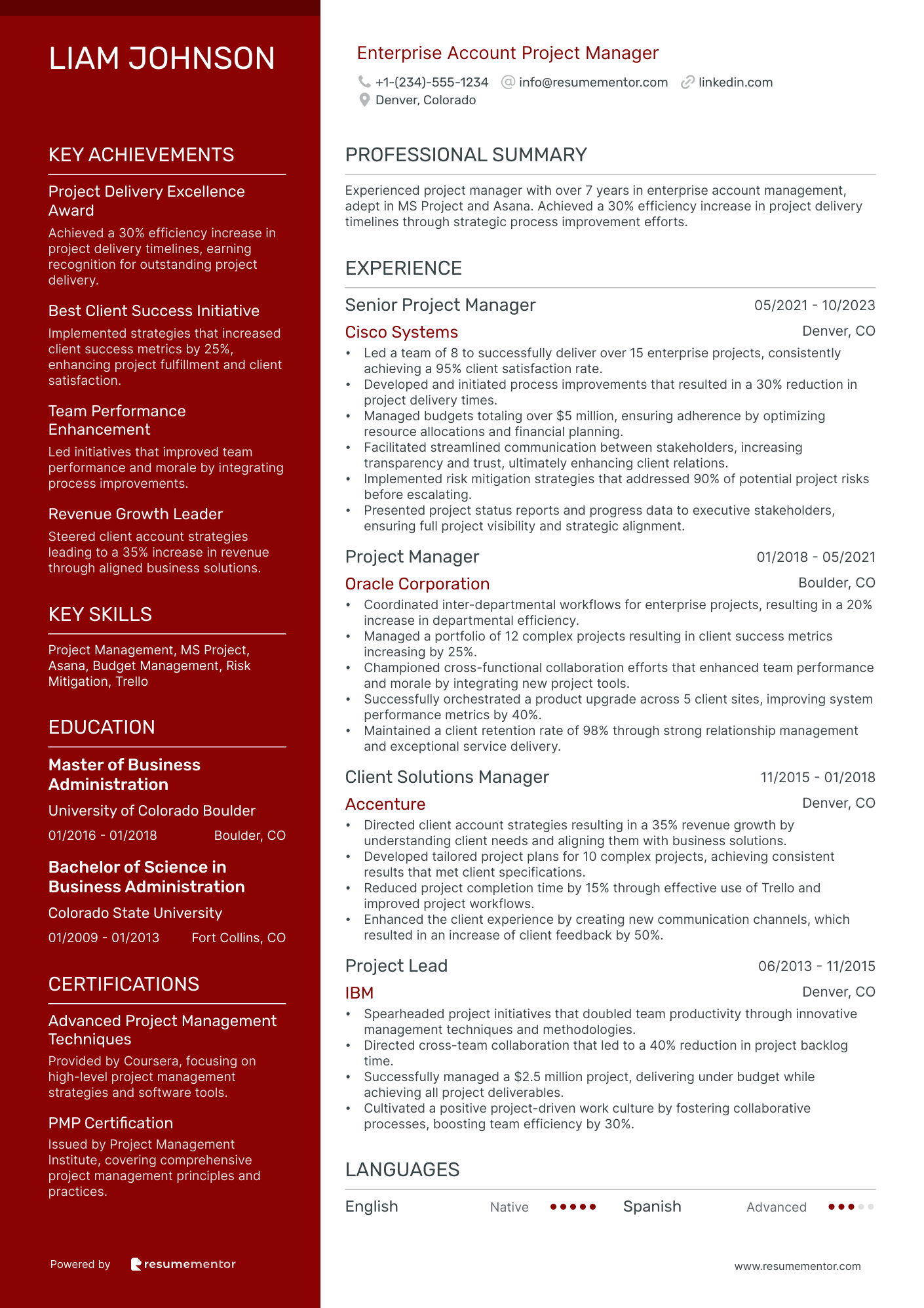 Enterprise Account Project Manager